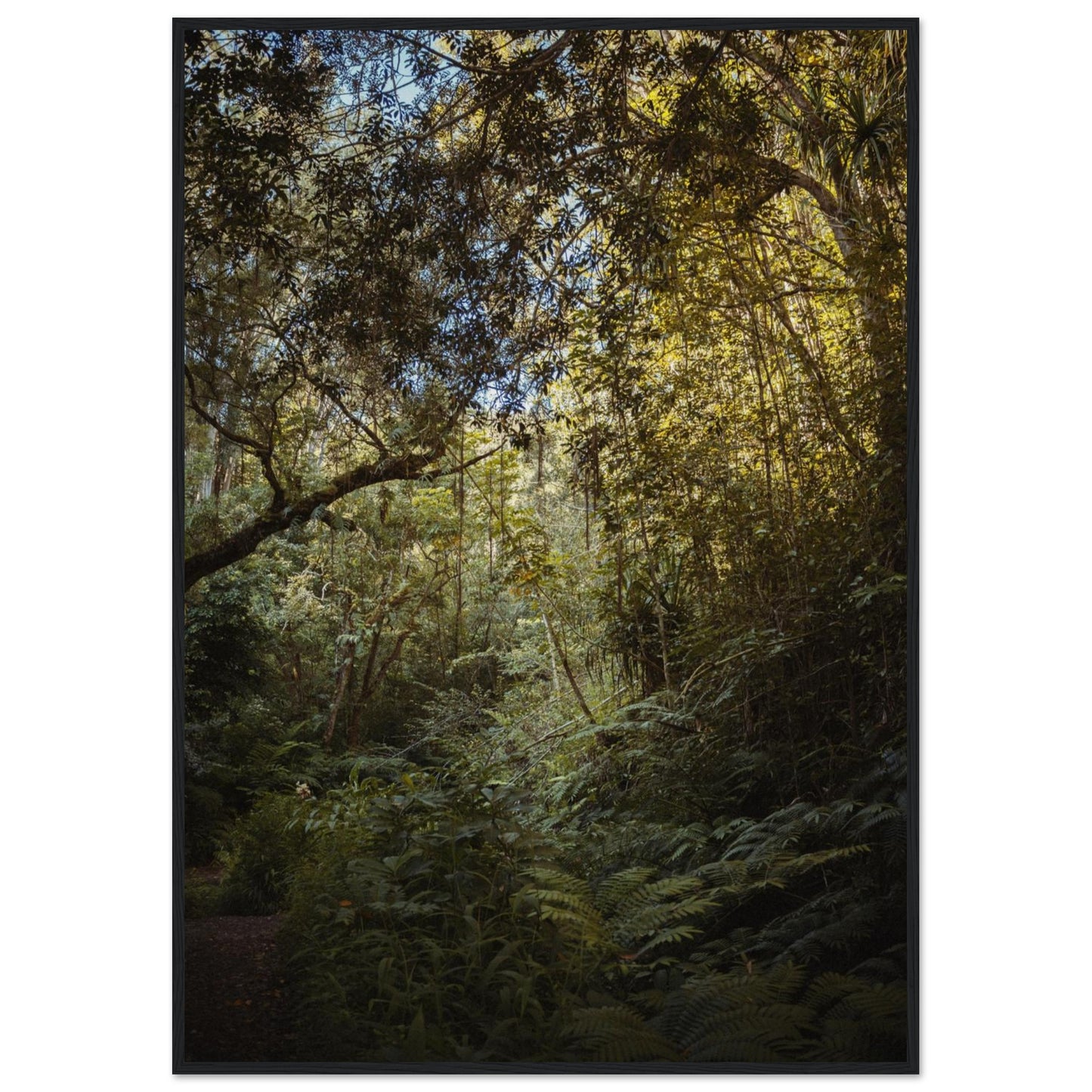 00037e51-7e89-40ff-b03e-73b83acb380c