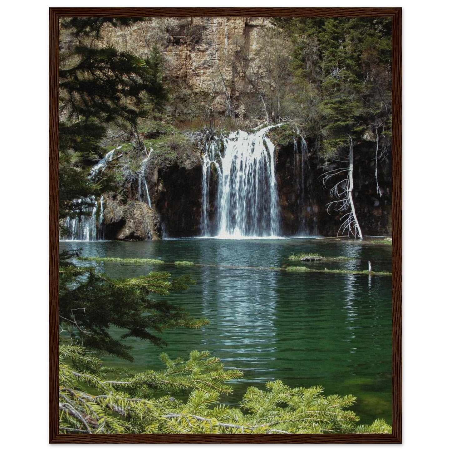 002f996d-30f8-4ff9-ac2d-97f6a5de30be