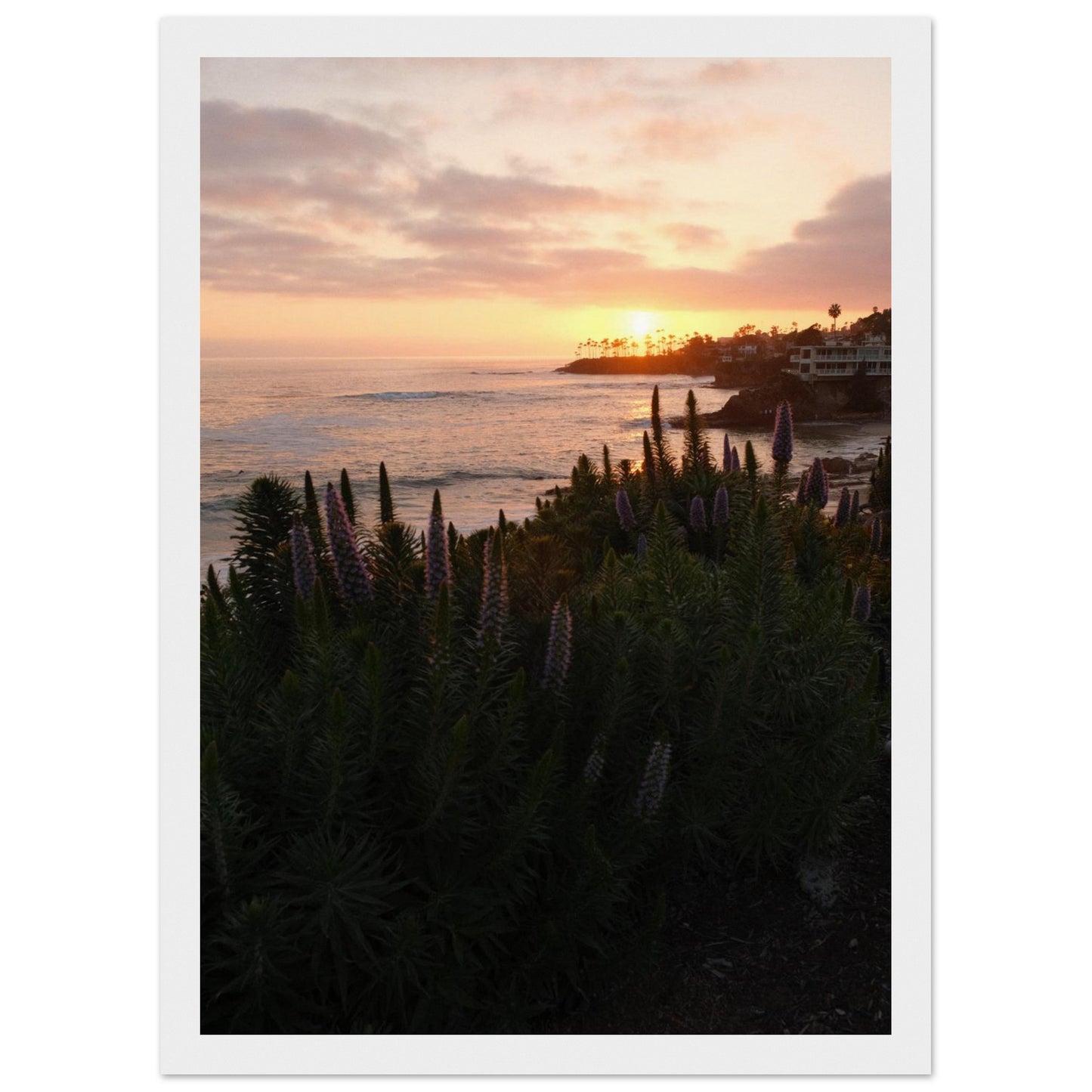 024f4578-6b80-4bed-b203-1583d75da821