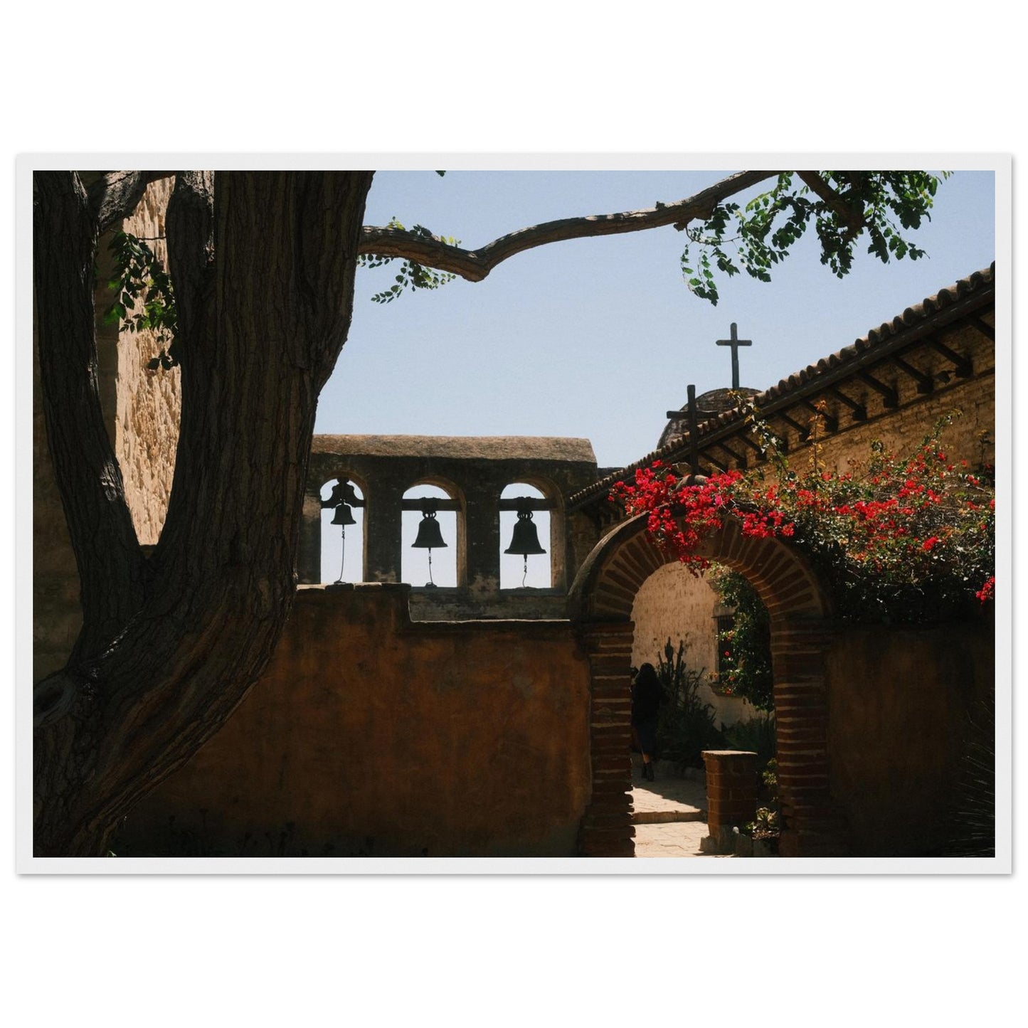 02a6d053-eb6d-4513-bb0b-0c0a79ba6c5a