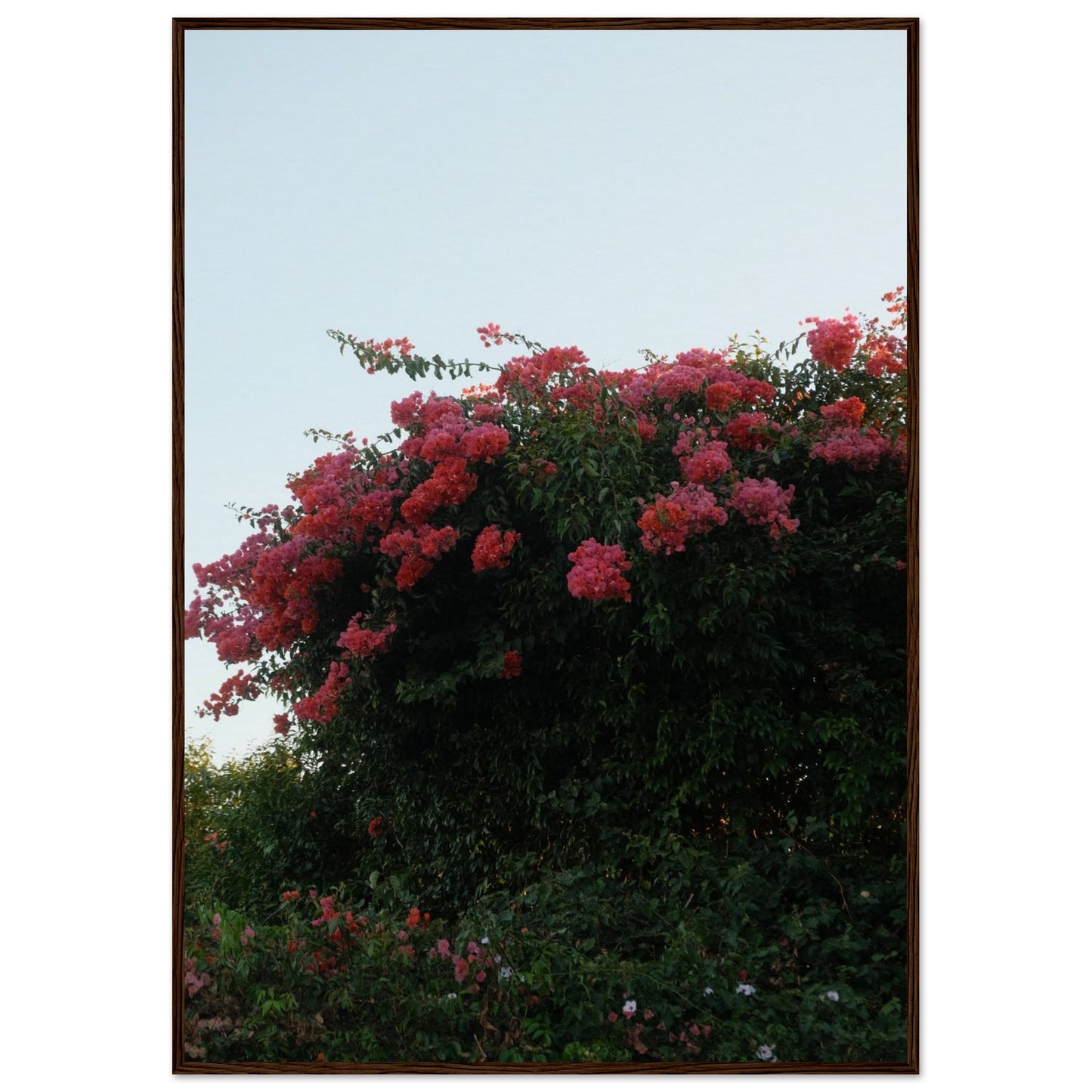 036d1502-9f1f-4694-9ee1-cb614a3dd0b7