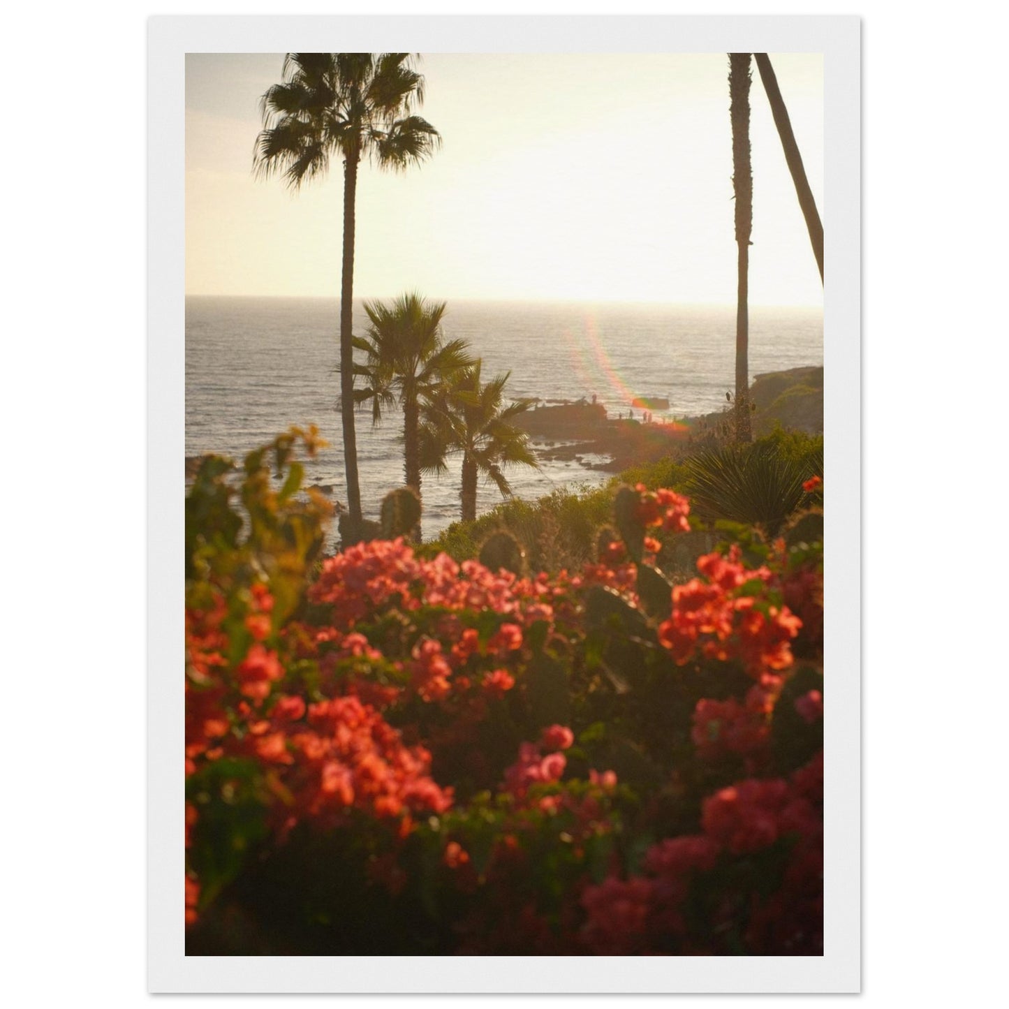 044361de-5ff6-455f-ae3f-9cb5453b8fe5