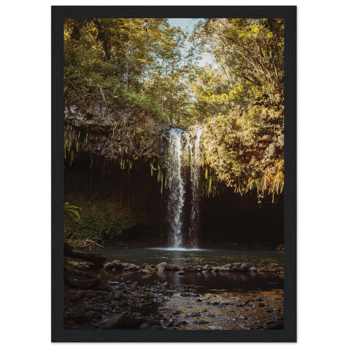 062a8f02-0c66-4001-9d37-73cfc9cb9e44