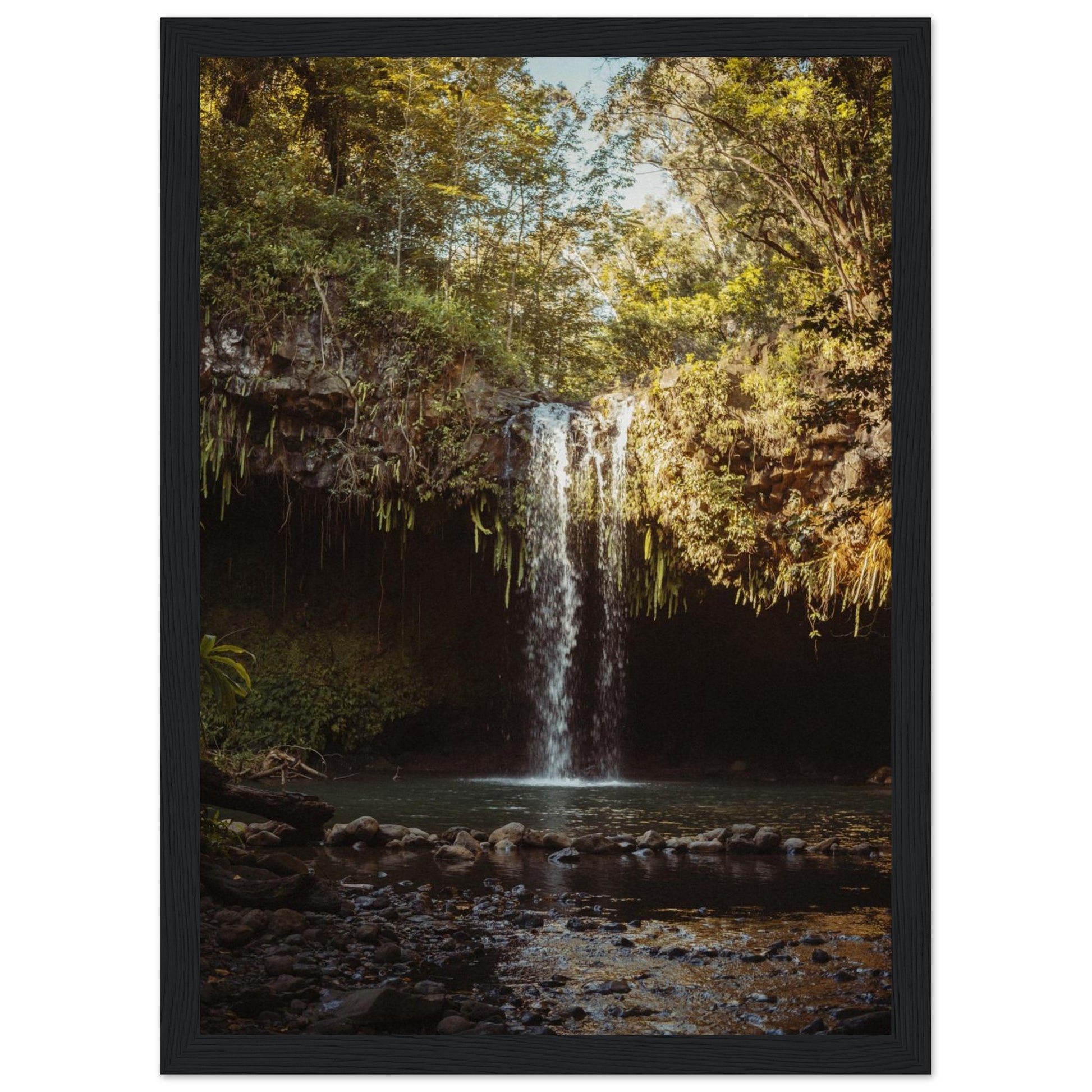 062a8f02-0c66-4001-9d37-73cfc9cb9e44