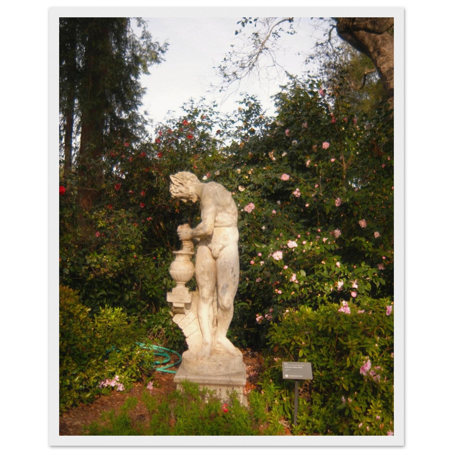 07f94841-007d-41e1-ac44-32f1df83d566