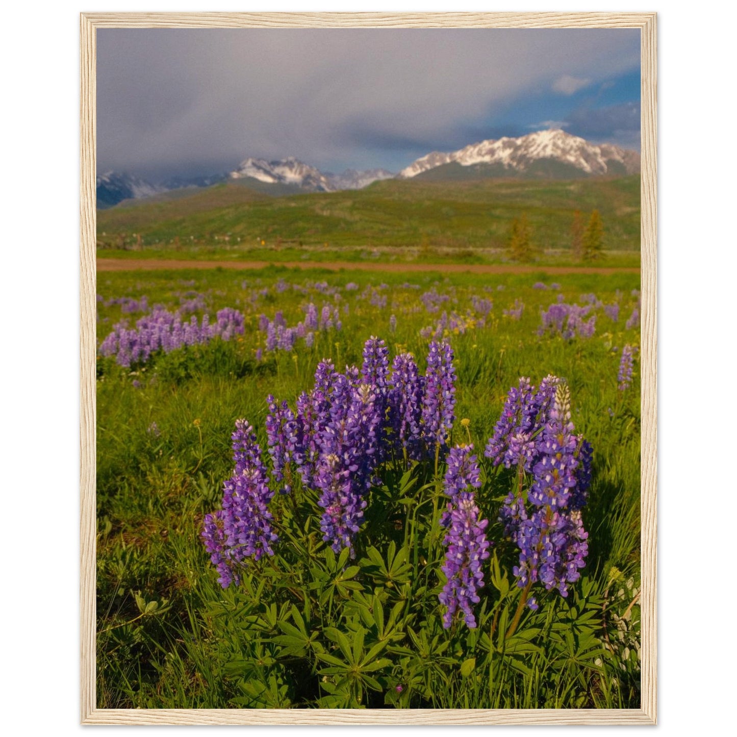 08b96747-7d50-404a-95d3-0551b88bd00c