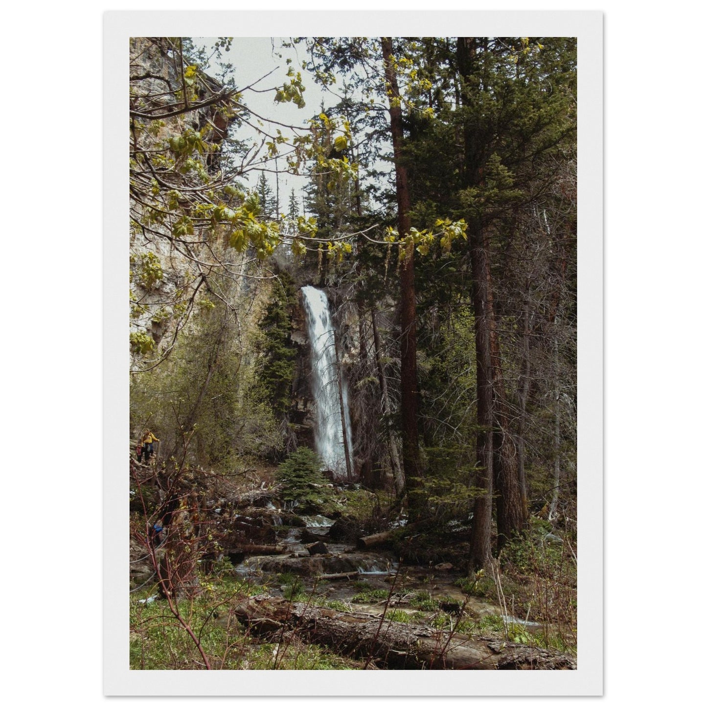 0af4e6cd-bd7f-4b13-af58-7c2704b1e5ee