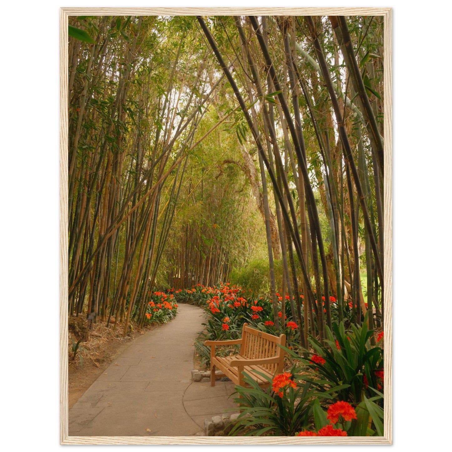 0cbd0251-3f43-44d2-95bc-b40164791db8