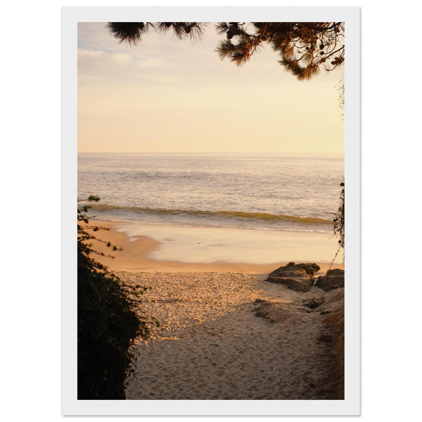 0d085123-f11d-4143-97d9-72466d7b4764