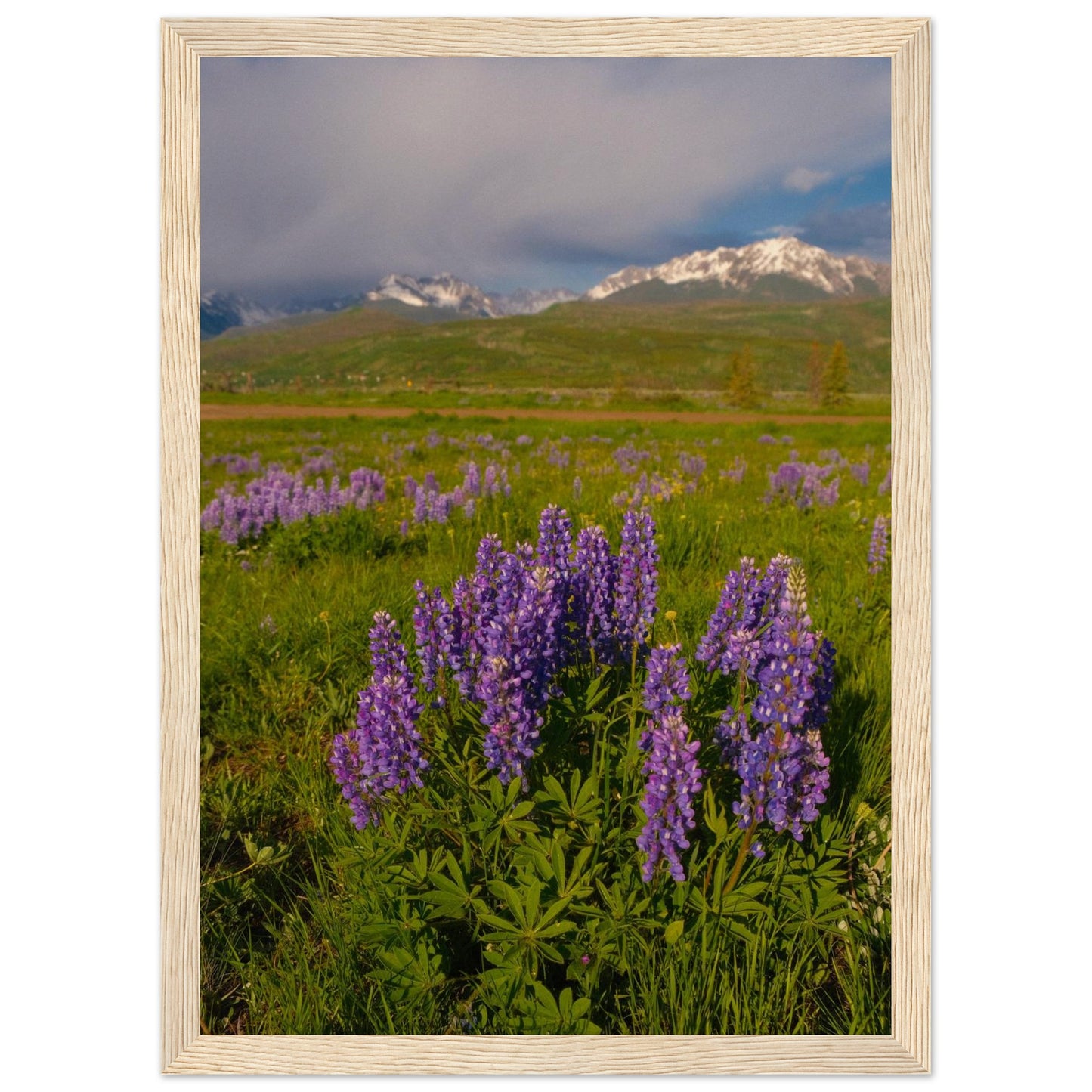 0ebdd478-d36f-4c8f-a412-2544376ddd55