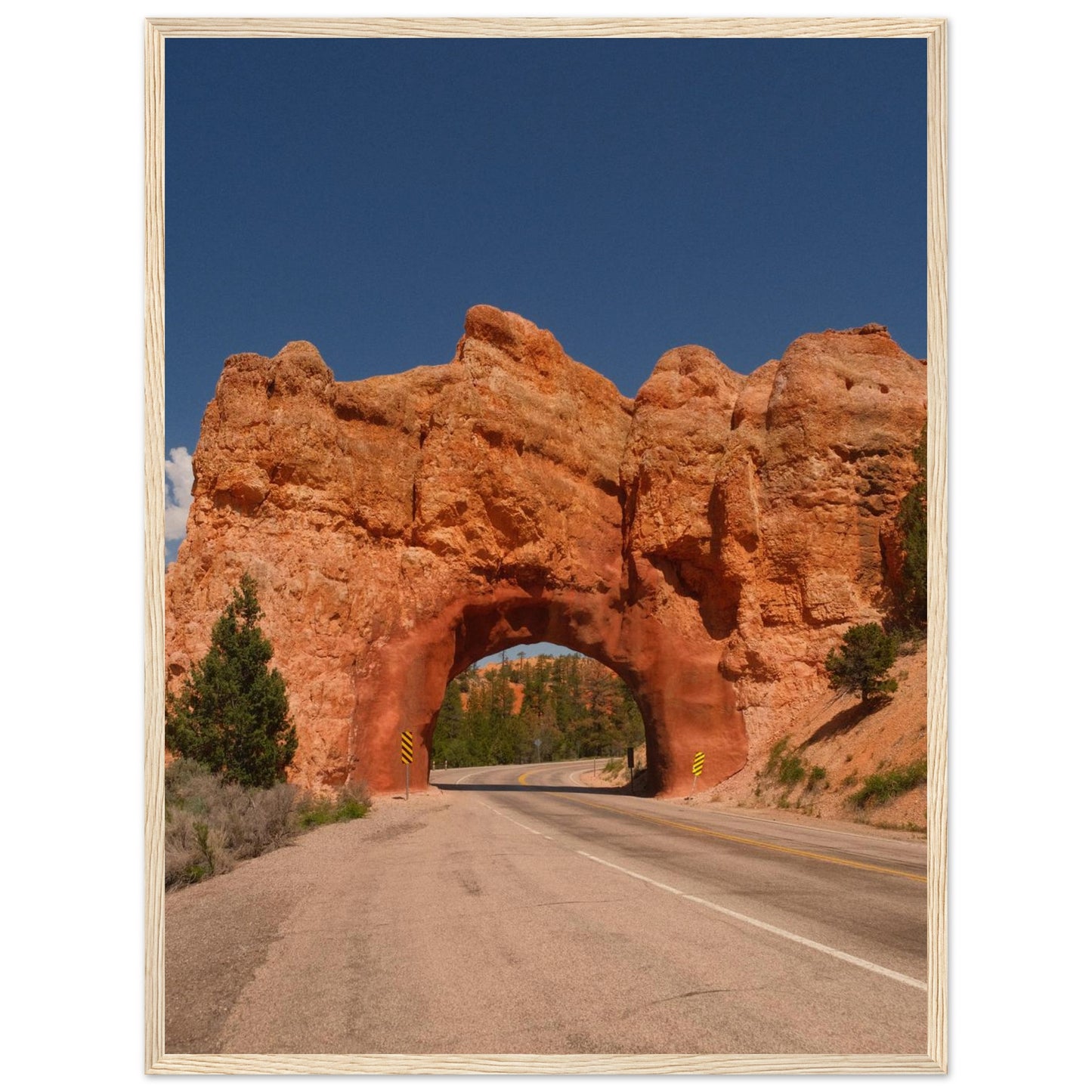 100df616-1cd0-47d2-a77d-fefba86a881f