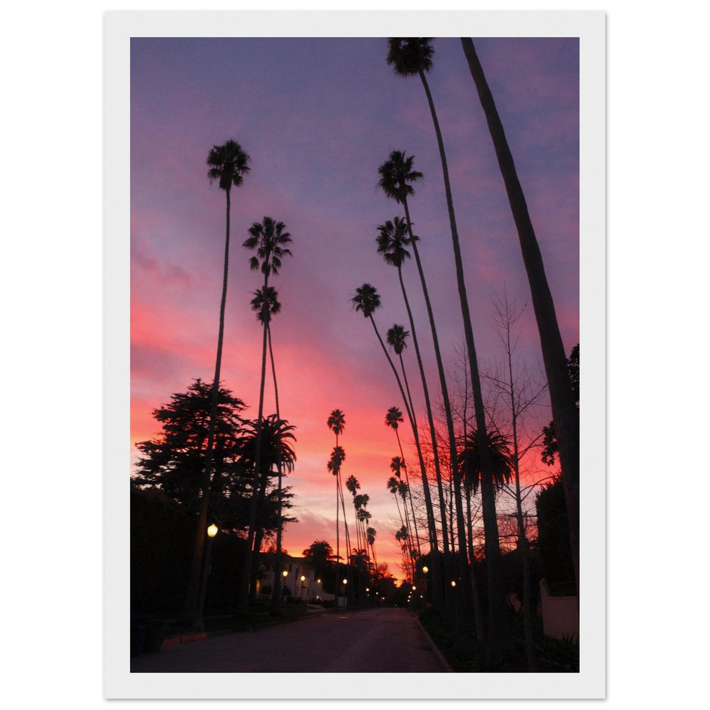 101f0224-f555-40c1-9d18-a4461fff5cff