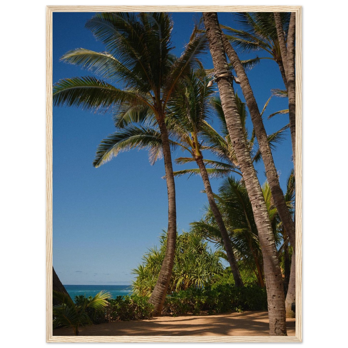 109c5a3a-edd9-45d7-ad09-3023c31ecdf0