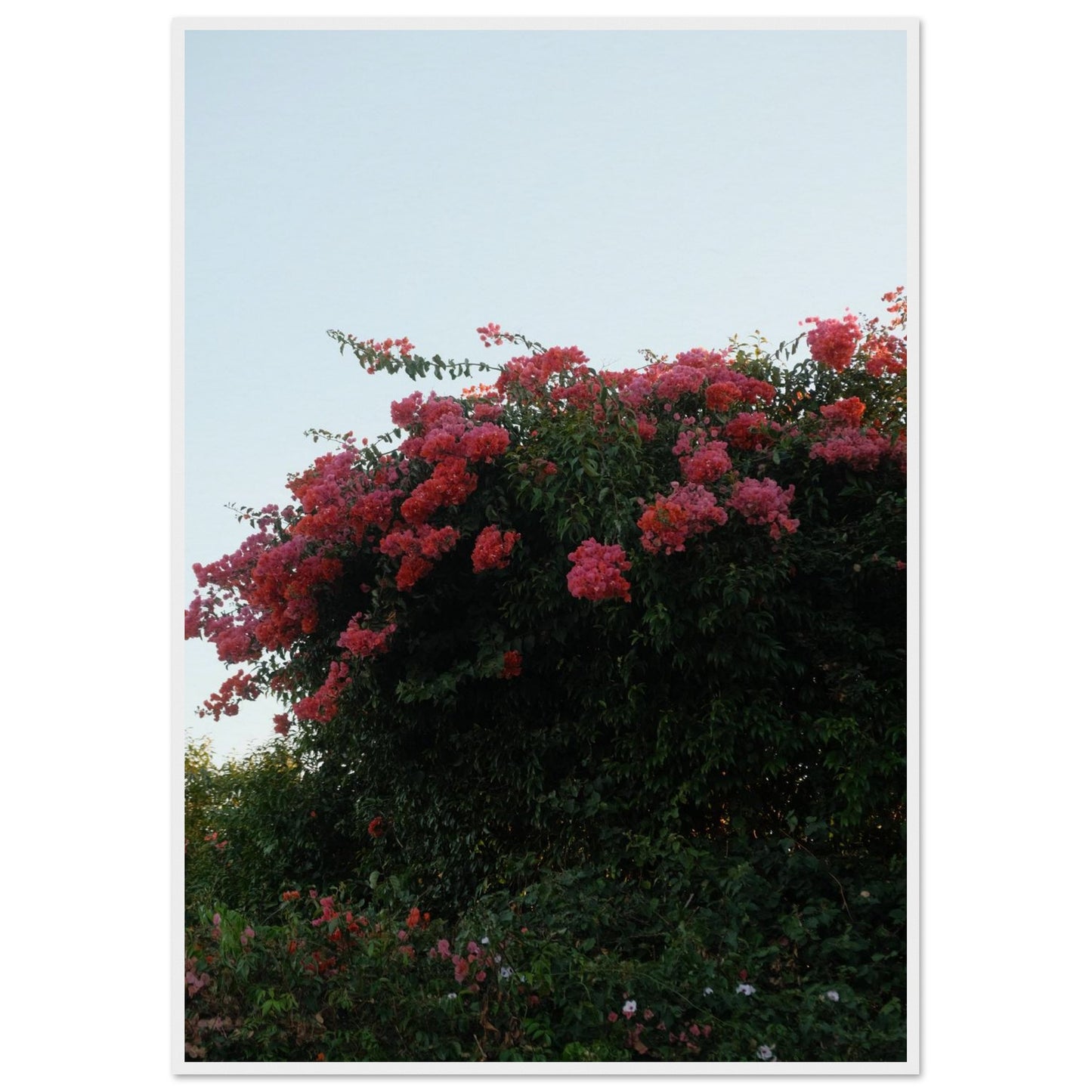 110ed1f4-1f7c-4e51-8c52-83ff68158122