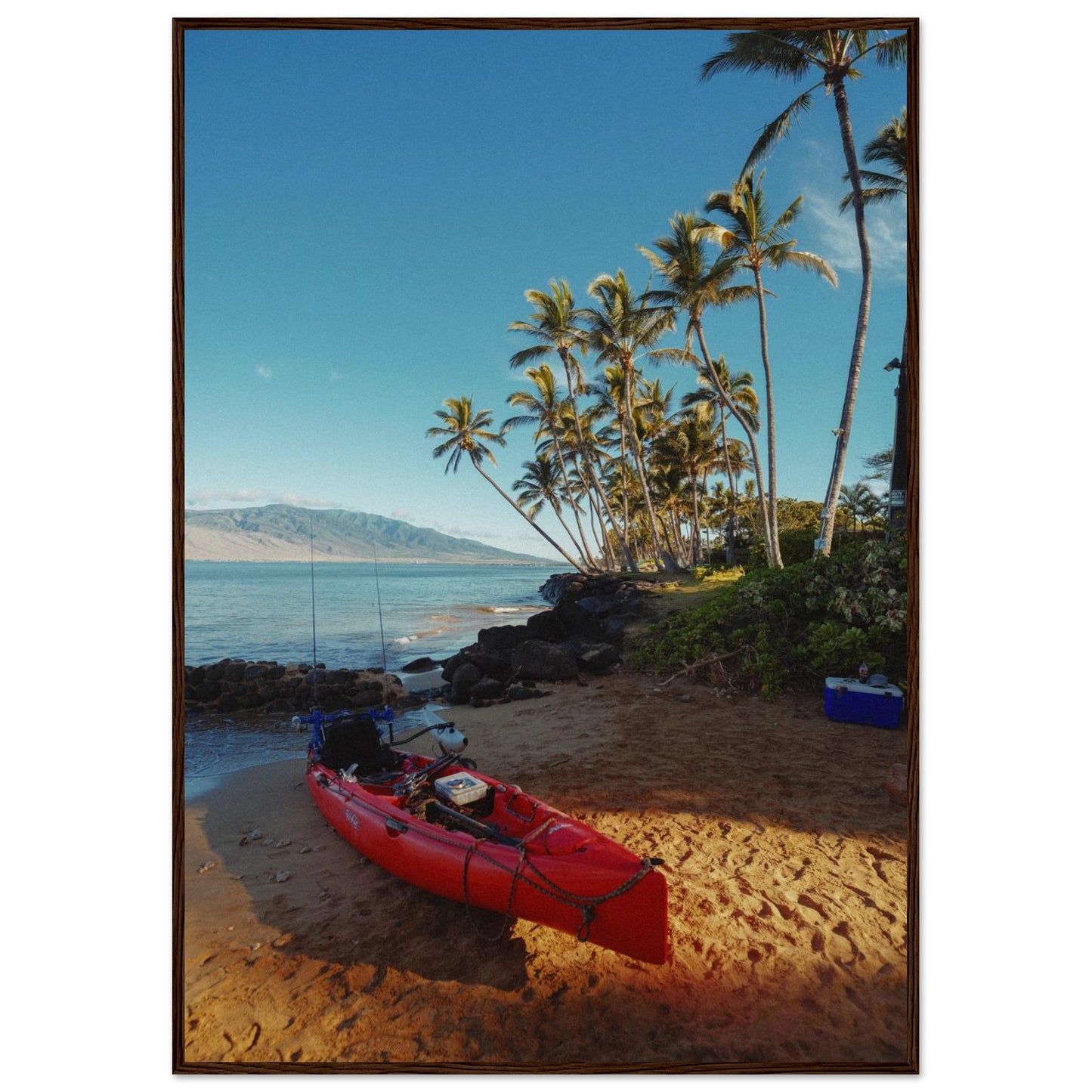 1141d055-1626-422a-ad9b-2f461f4ec2ee