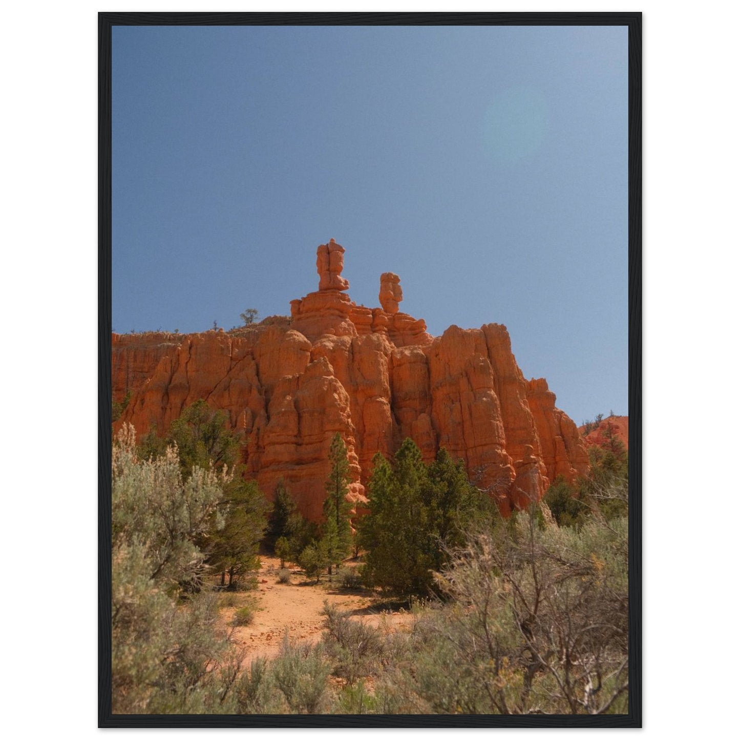 115b5570-36fa-4b12-8e97-e0d1a56c62f1