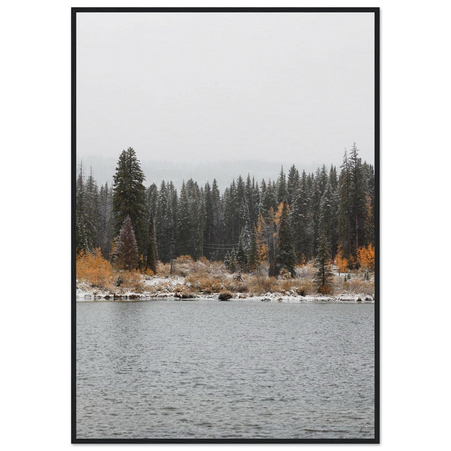 11d178a2-03cf-41b5-ba29-5b7e0fce22c8