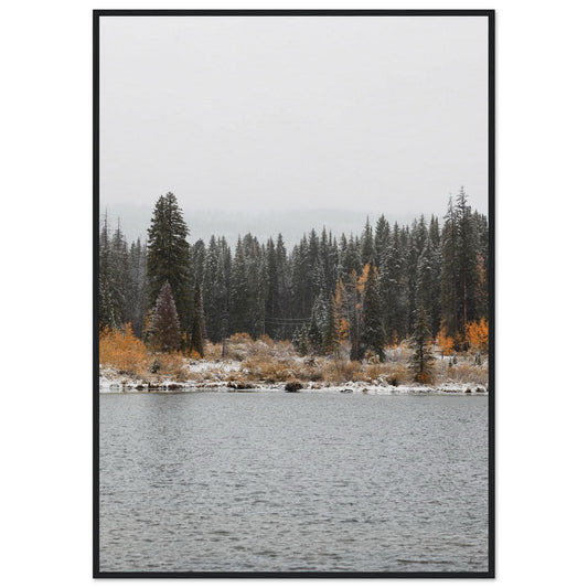 11d178a2-03cf-41b5-ba29-5b7e0fce22c8