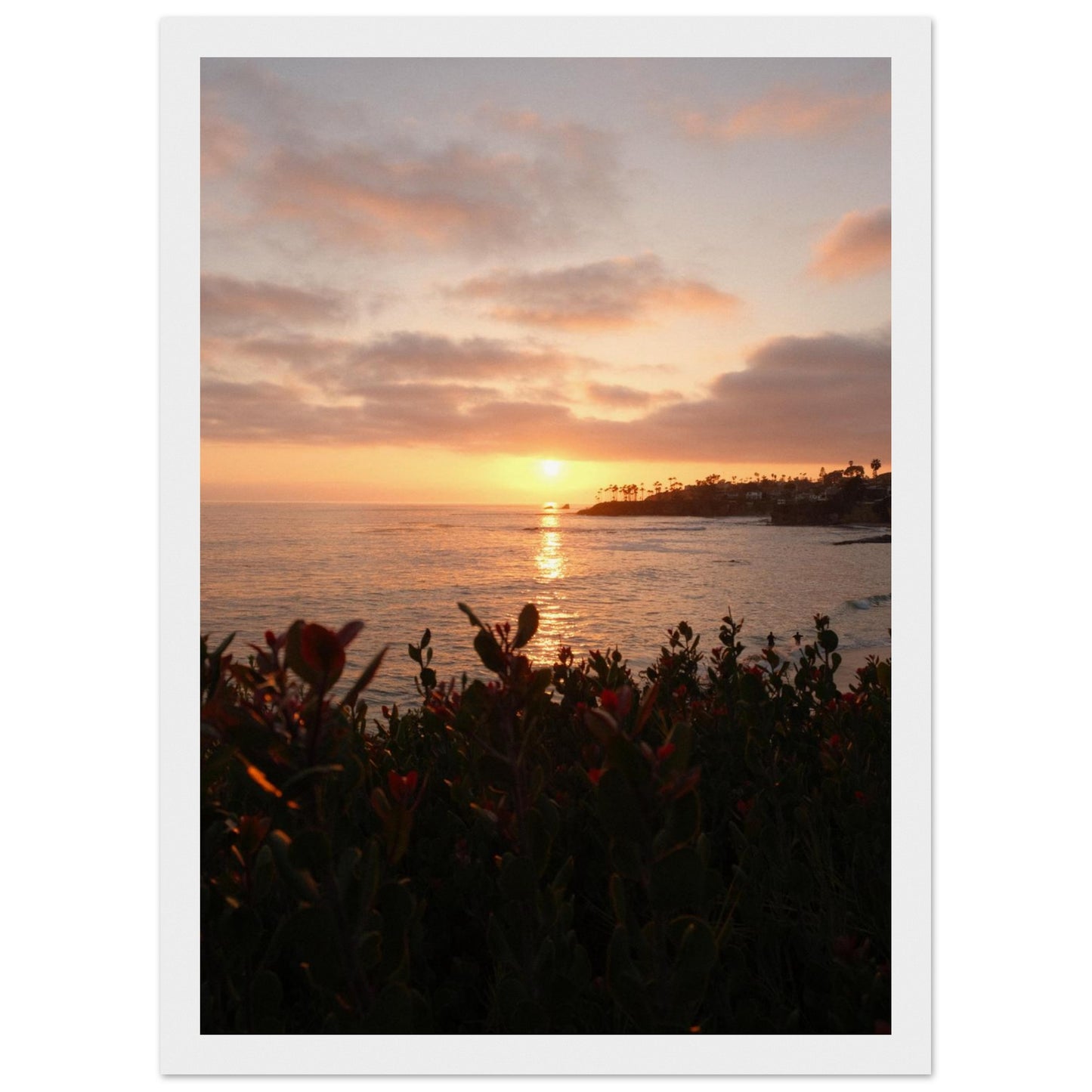 12845f05-84d4-4d77-b322-a76971fbc998