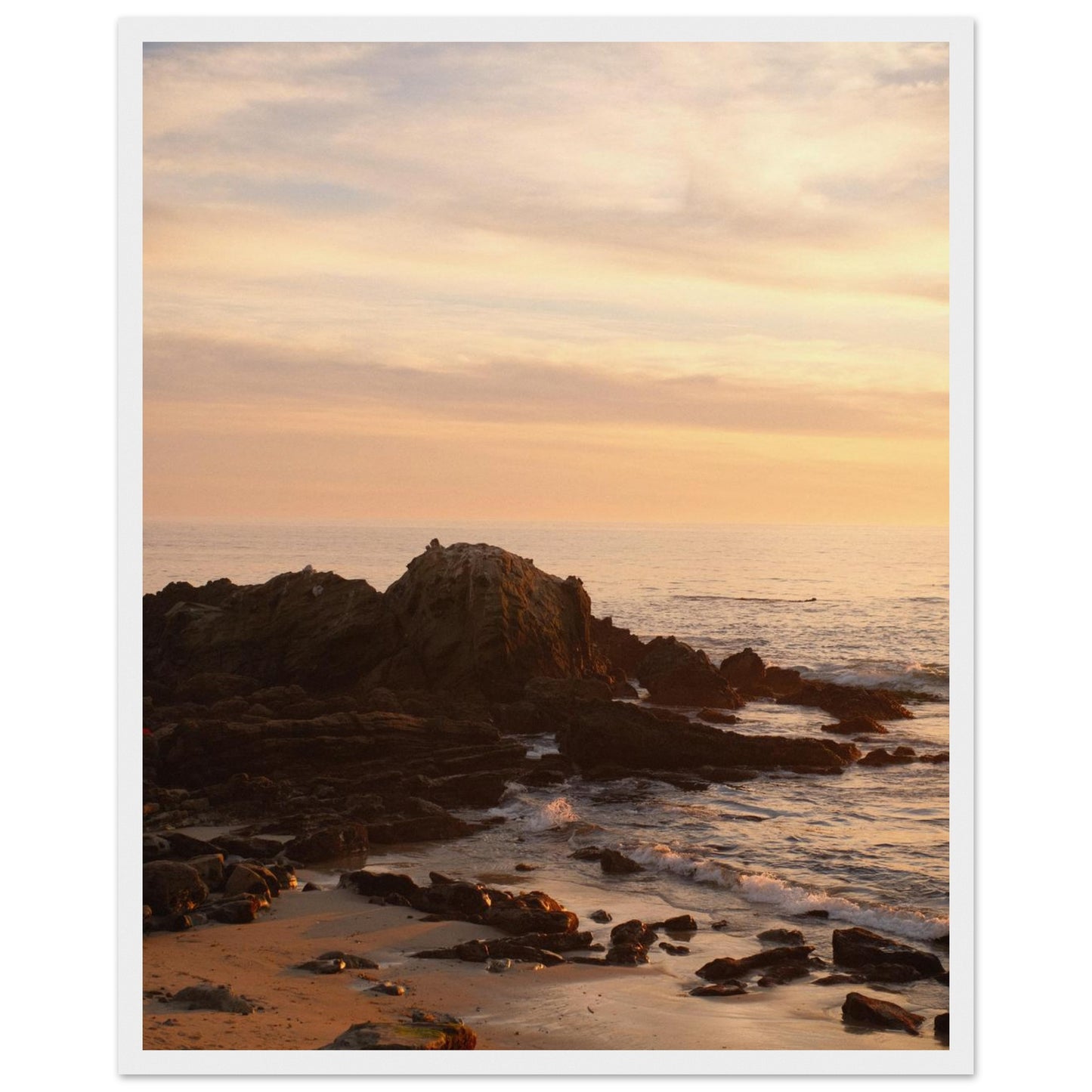 12a2d9c6-8433-49c6-9a6c-b8157f63b0f6