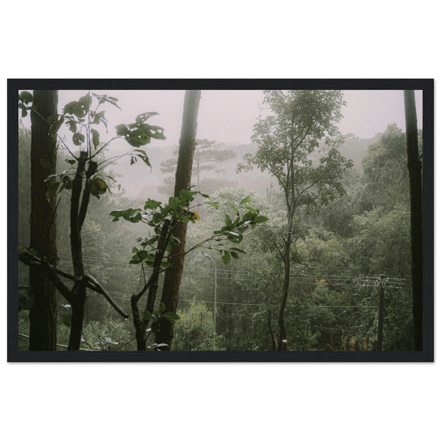 1331037c-f5ae-4230-a73d-413af8b47d8e