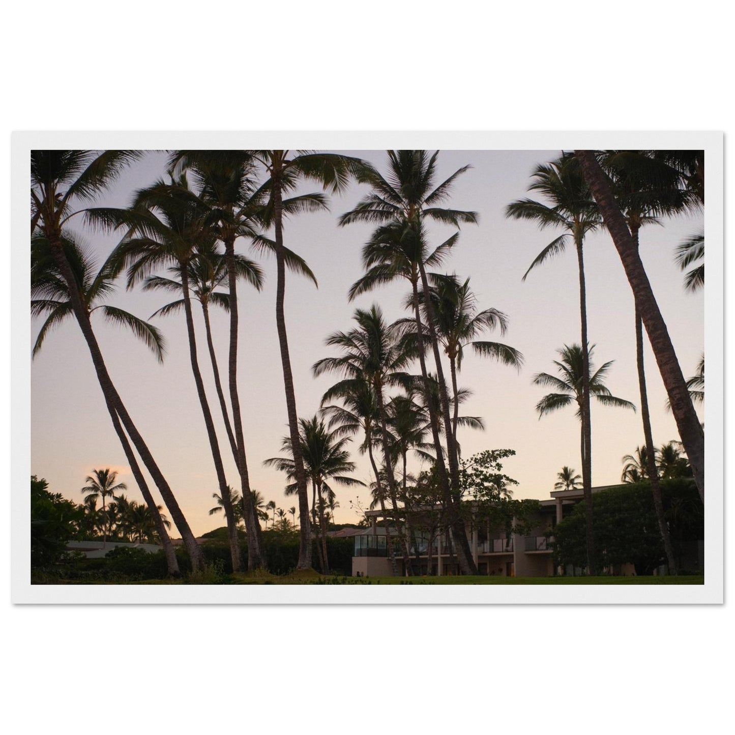 13a74009-ccfc-4bfa-bfad-63f75b008593