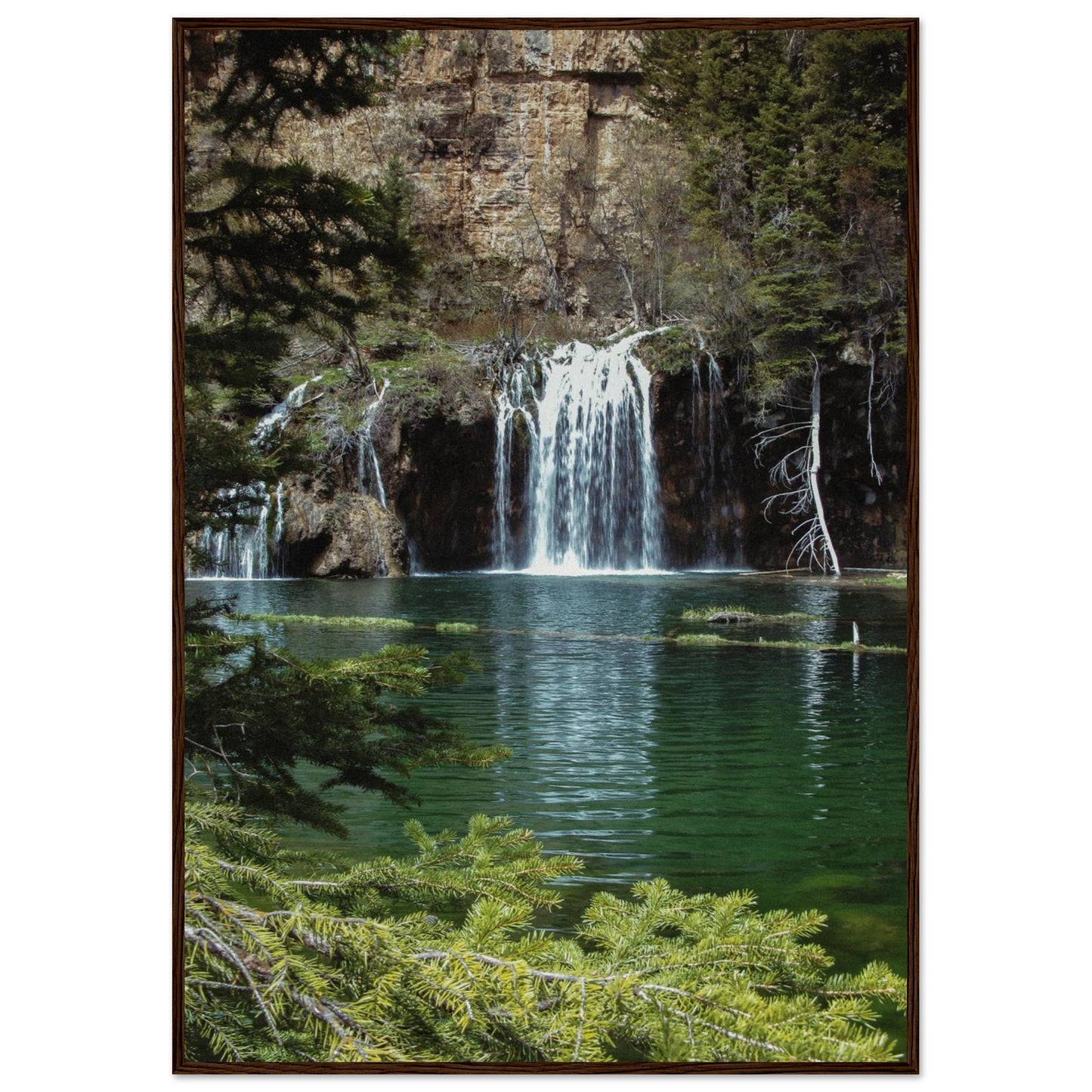 13f00c6b-1870-4975-916f-bf76691fc277