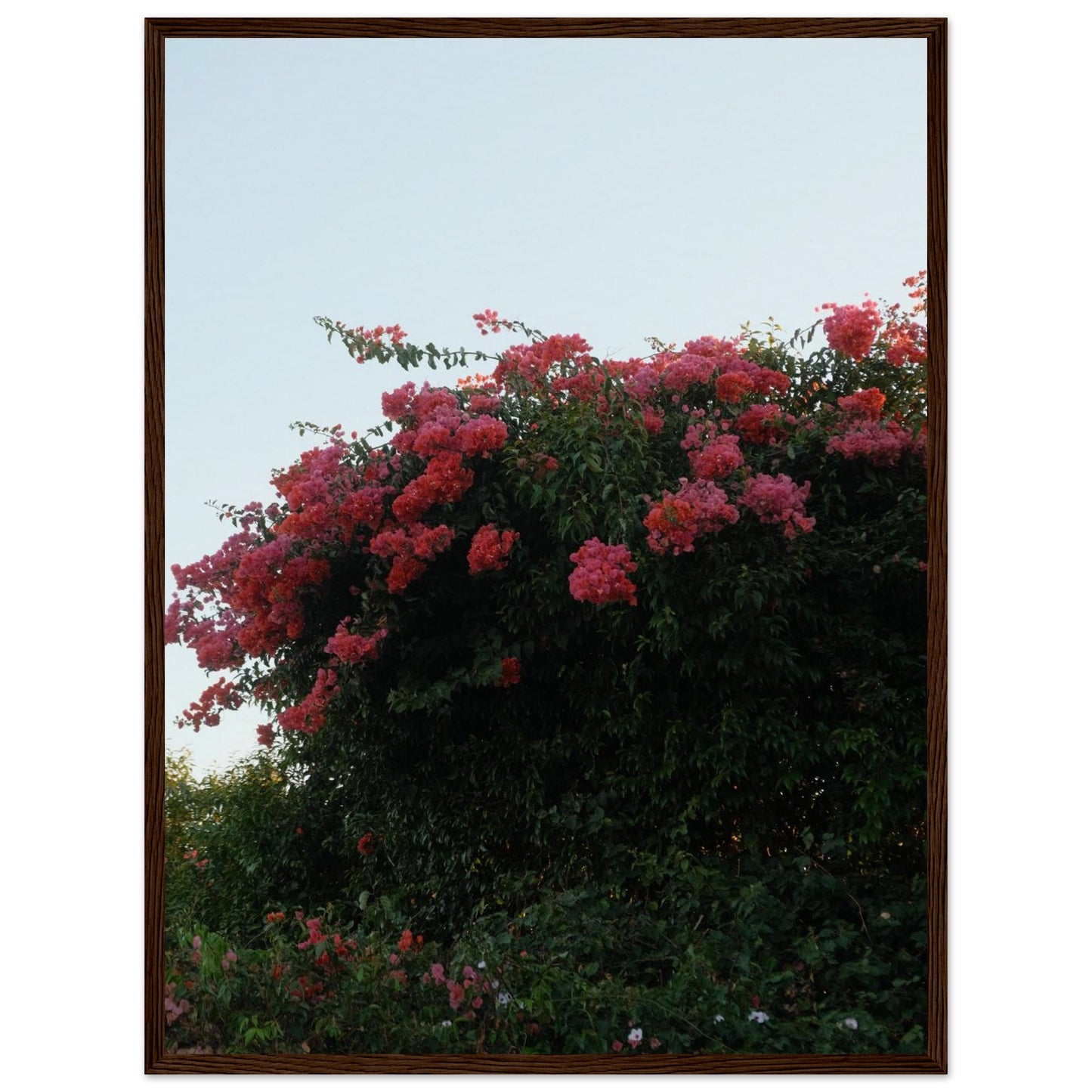 14c65d76-87a7-4af7-9993-a15983af2c4c