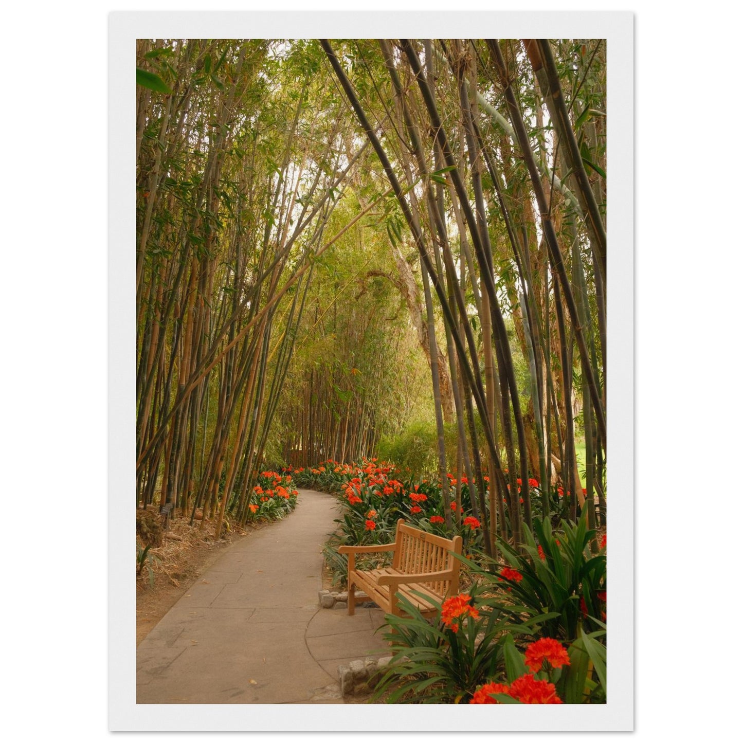 167a3989-6ad6-4ffc-a181-f2c241c588ef