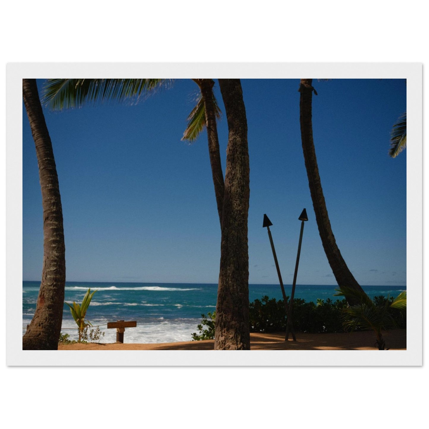 169fd941-c4d1-4026-9e1b-ac8b78e6f6bd