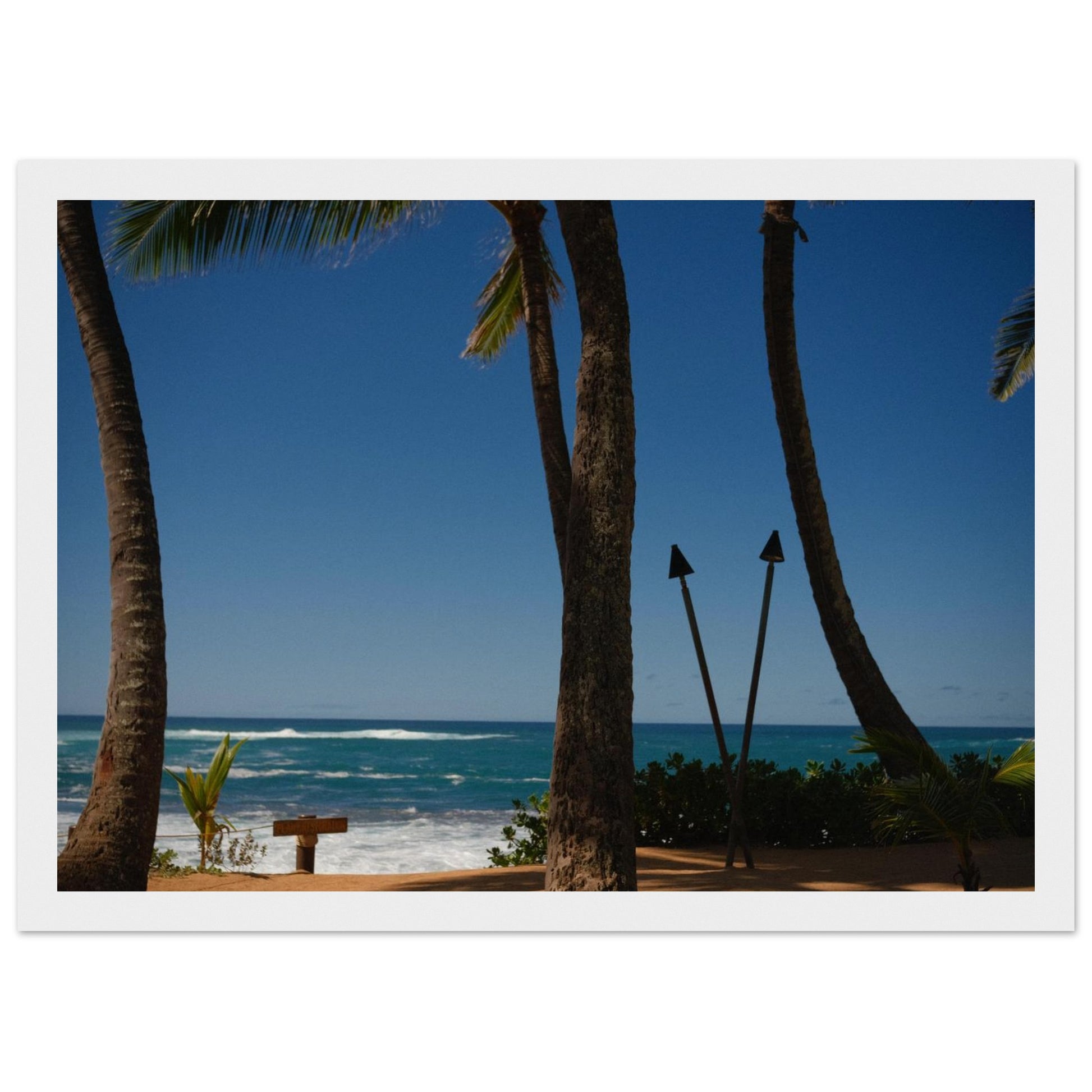 169fd941-c4d1-4026-9e1b-ac8b78e6f6bd