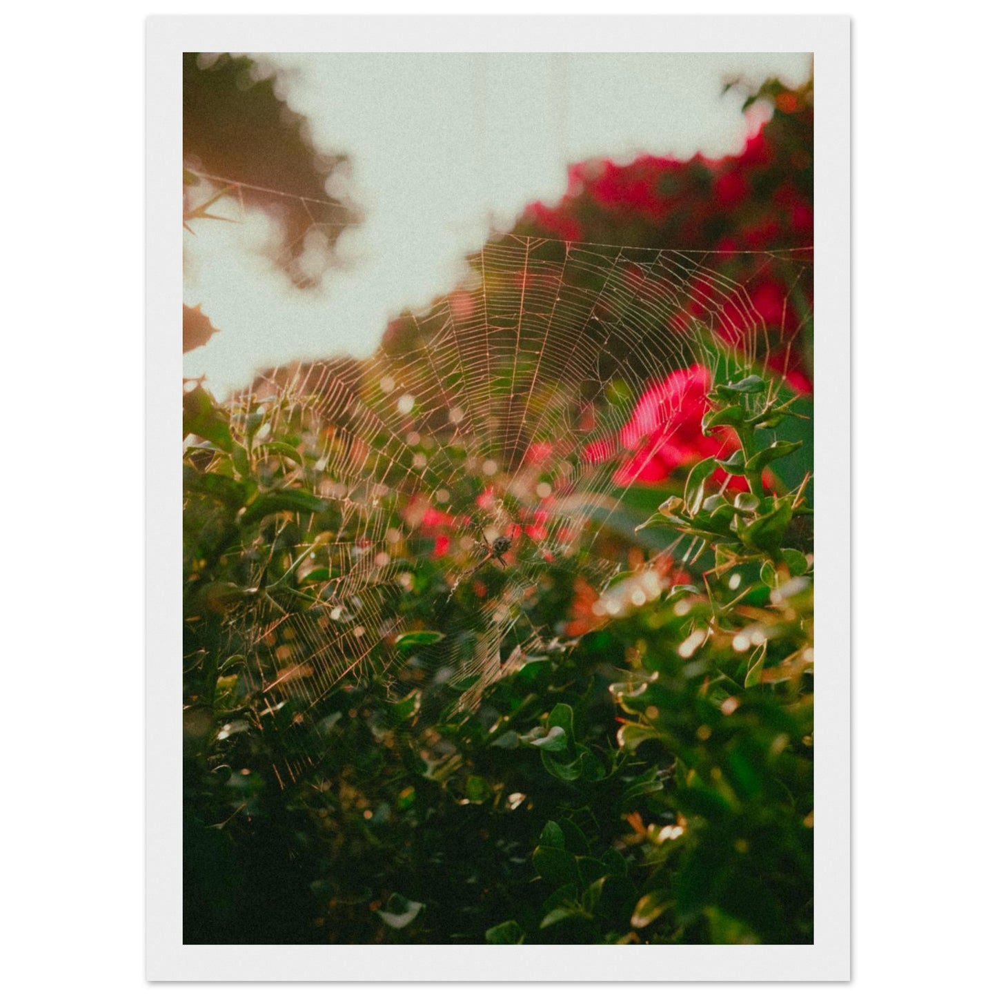 17ab5d6f-7af4-4ce9-9966-97e69fa67fb2