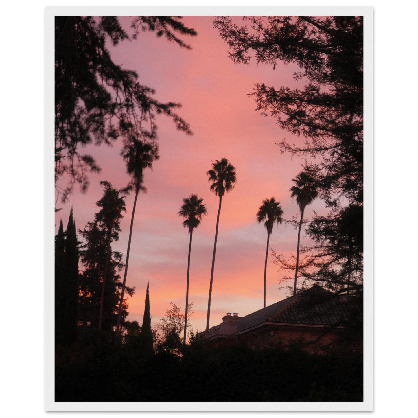 18052584-6aca-45b8-a00c-2ac5bf9ceb6d