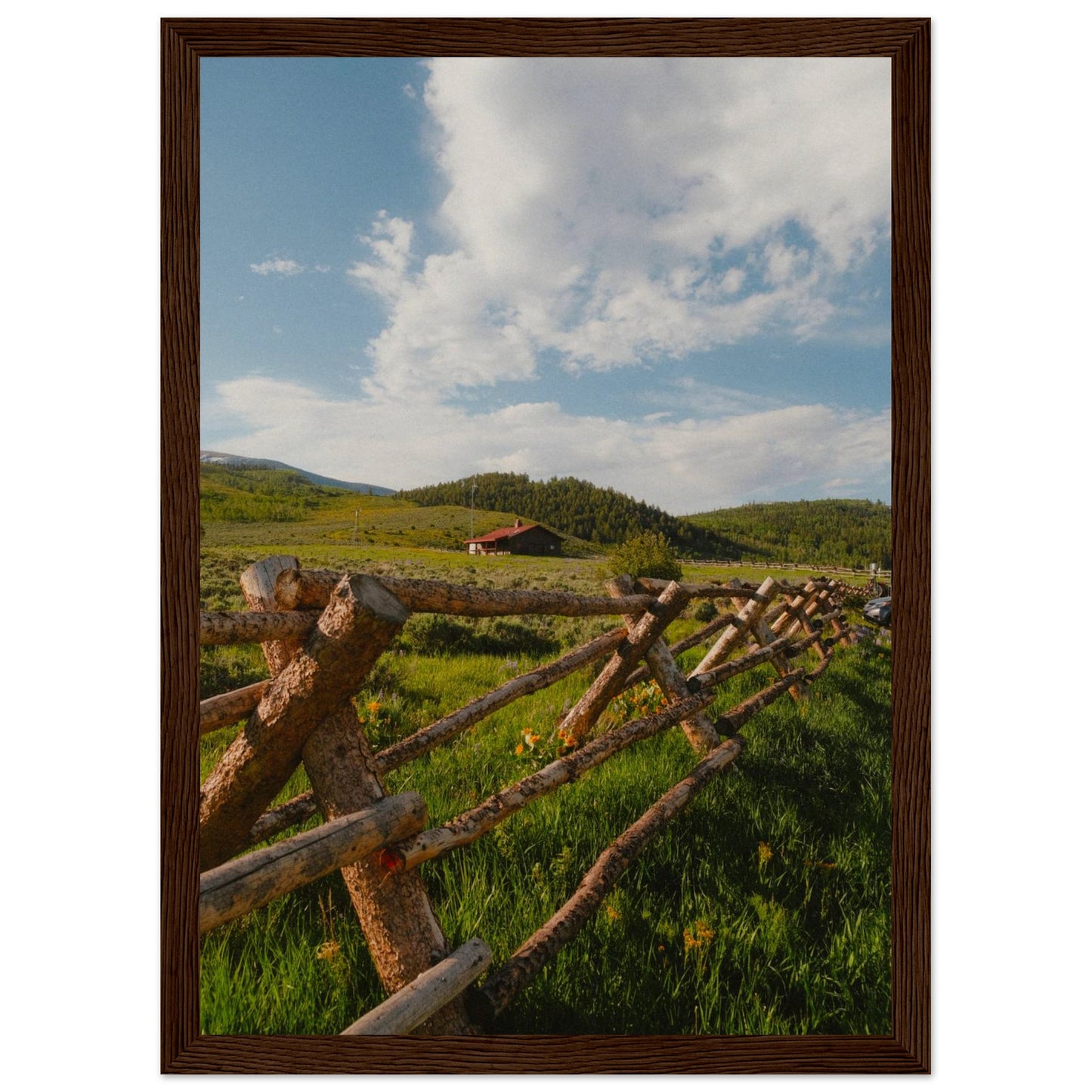 189b5d70-90fc-4153-942d-4d49bd696255