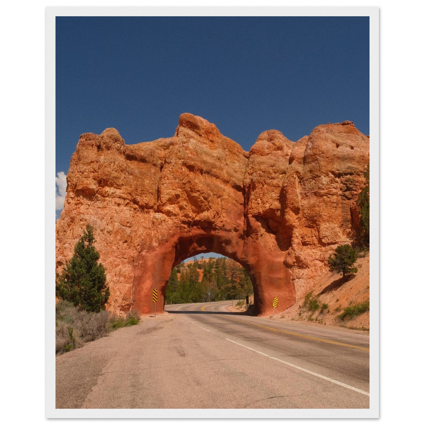 1a6bd4c8-0b11-42ba-bd3d-3fe8e11d4e21