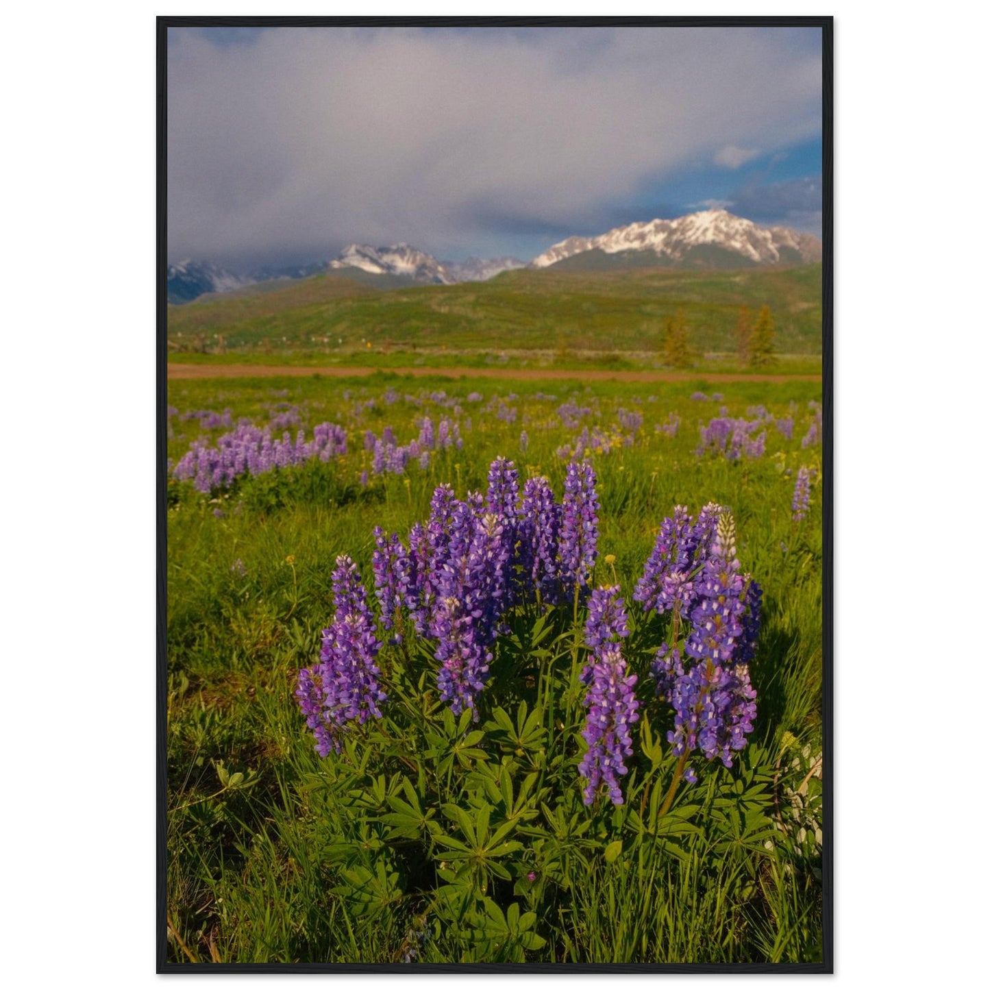 1b00158f-9076-483e-857d-4a51b00c4541