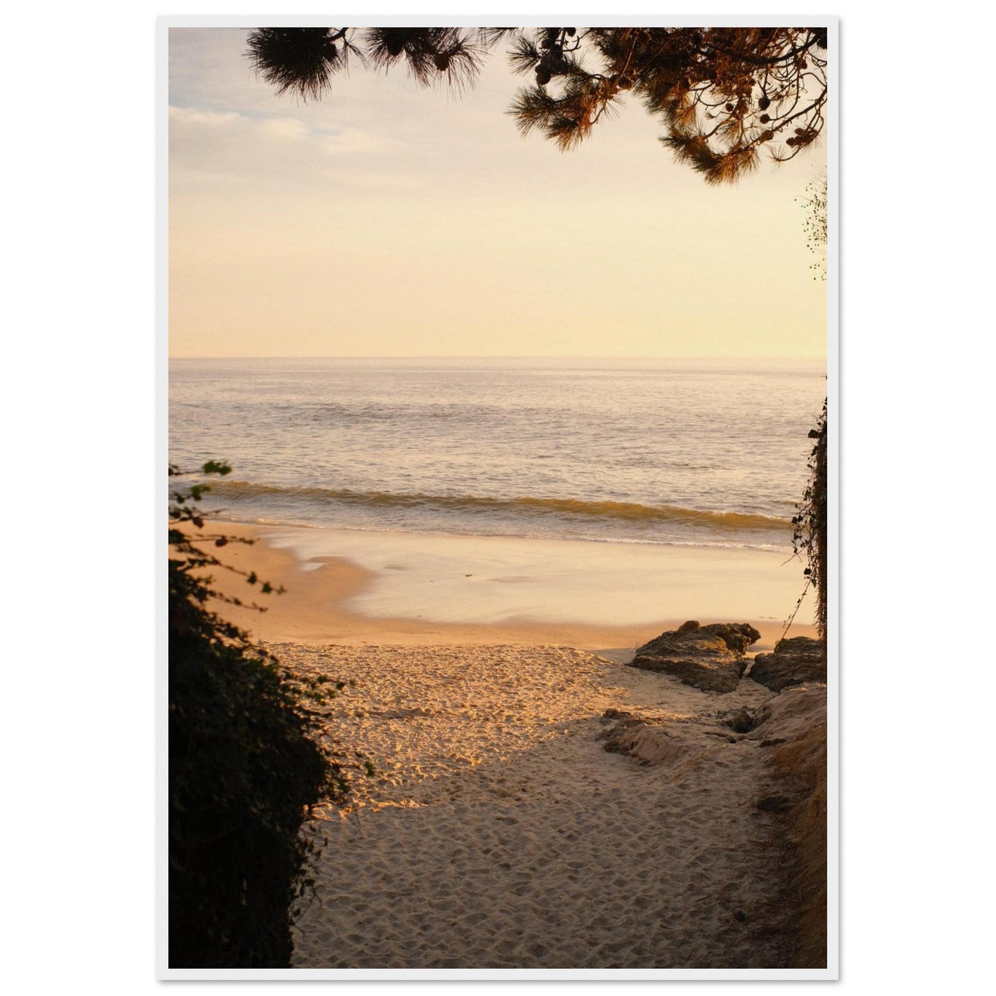 1c0d27de-f32e-4c0c-a352-89944f70b6c5