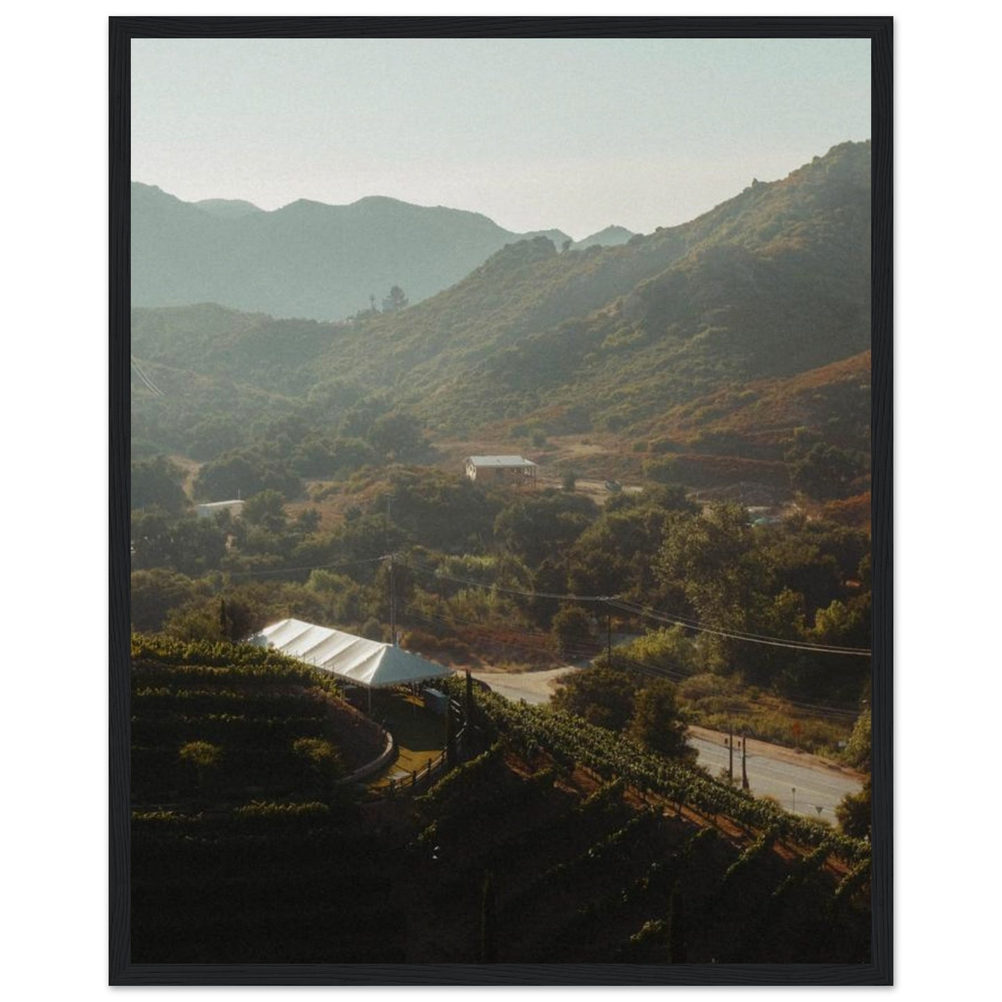 1ce81713-79bd-42cf-8246-4e81b72f294a