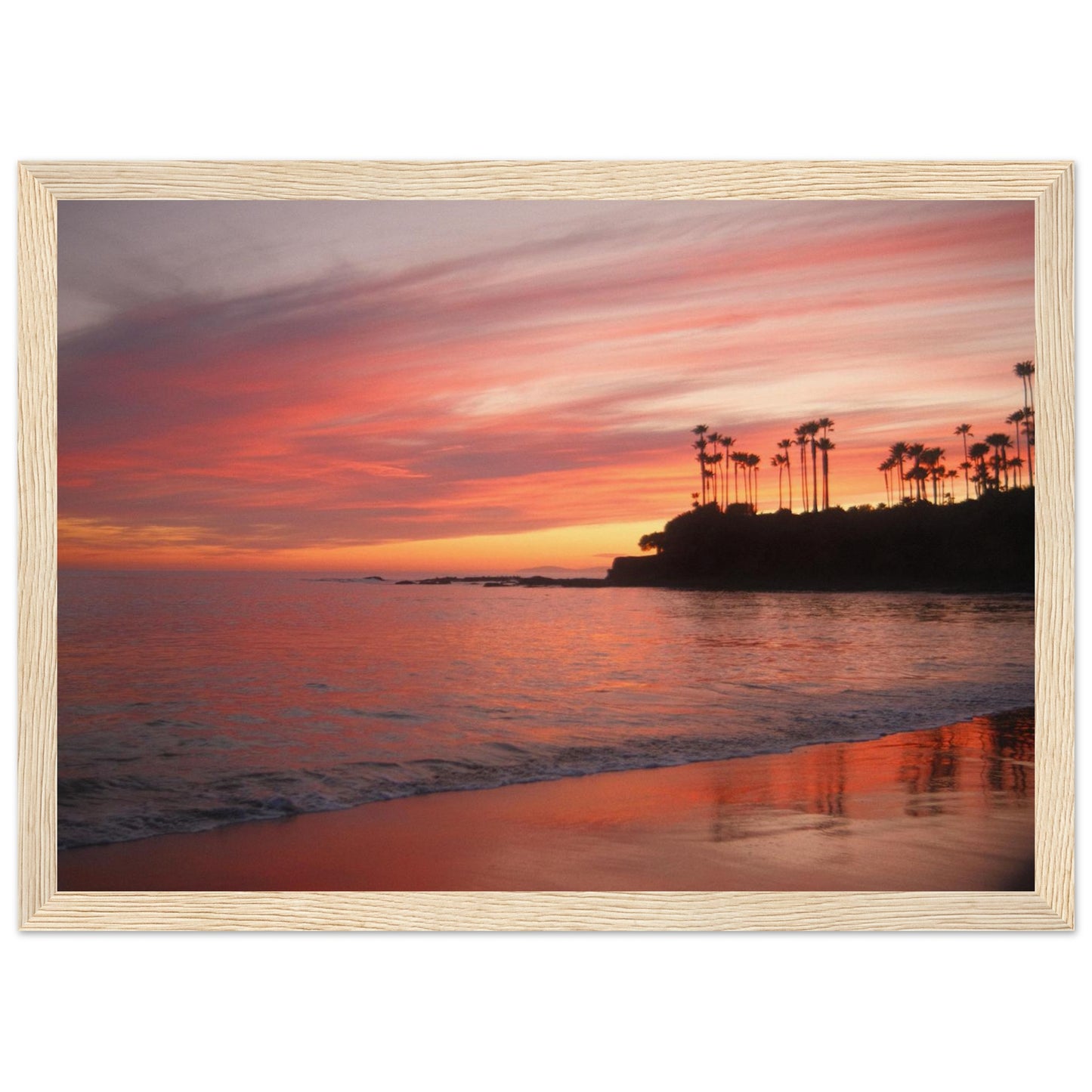 1fc95c05-d8ec-4bae-949b-c6c120645ffa