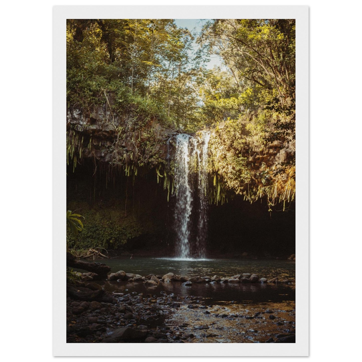 1ffe03df-26dd-424a-9438-fa3cc0e4d056