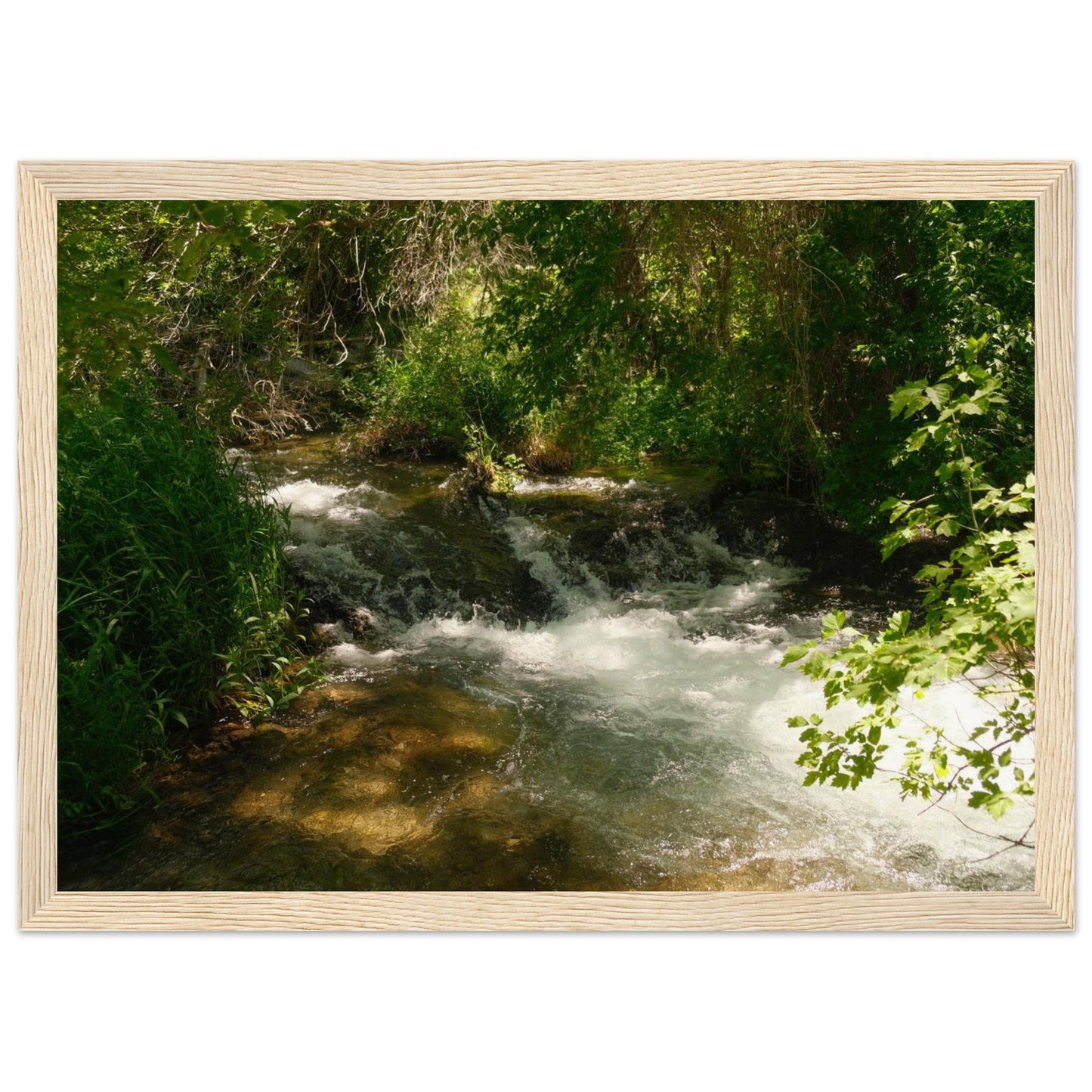 20014475-22f0-4bb4-bb9f-41b90f71df0d