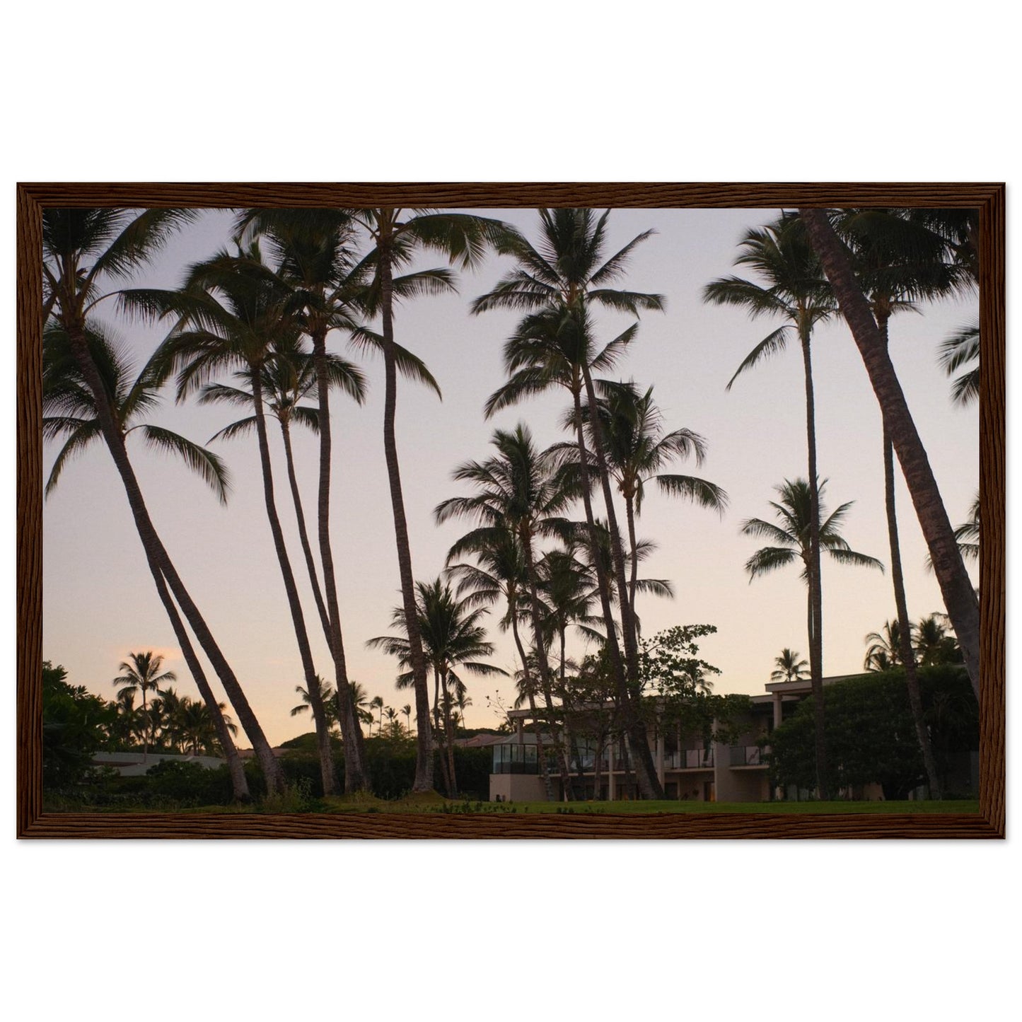 205cd220-904a-4bfa-9b1a-580695e3dff6