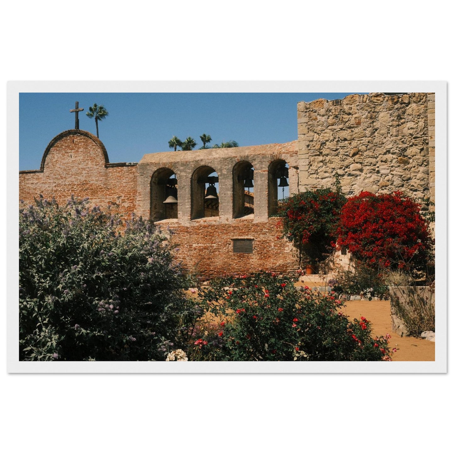 20df202a-b2a6-4b2d-8105-eadb24a5cc31