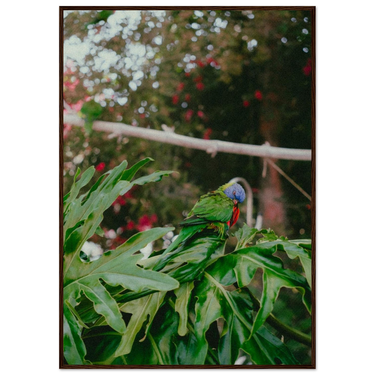 21d5f39b-2433-4944-8b0c-a832c157a383