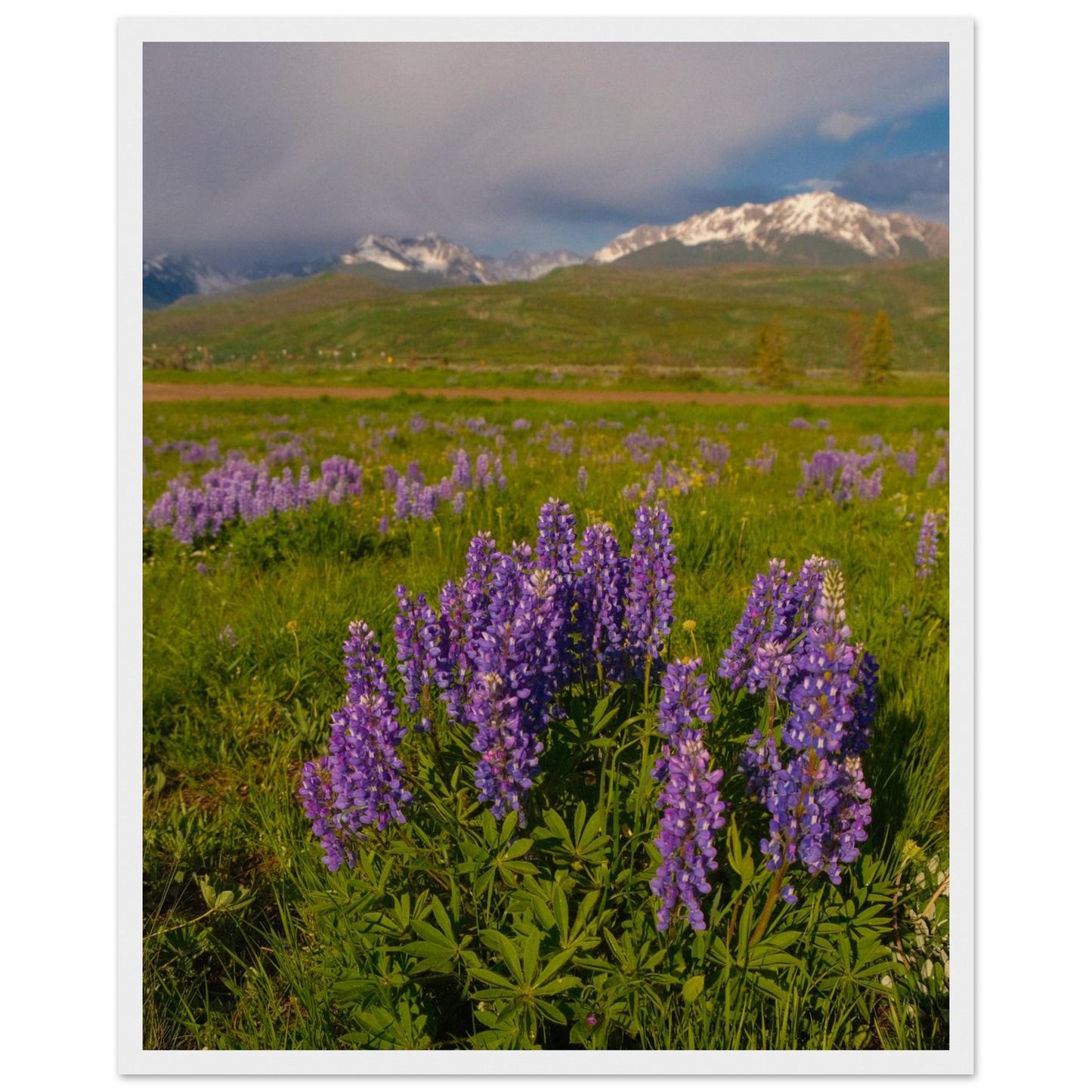 241a48d5-1d69-4ed1-af55-4eebceee2391