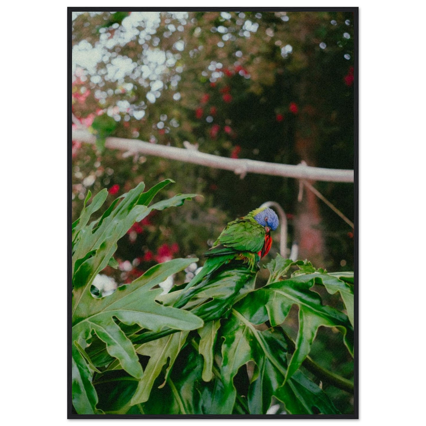 256ad1c3-3c4b-4d0c-9497-9b20769cfa01