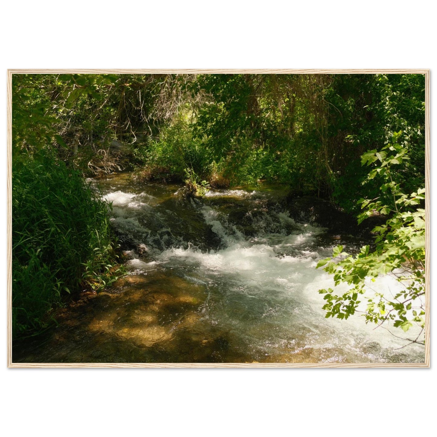 260f2ca4-0e09-4410-ab80-d1dd085f7ffe