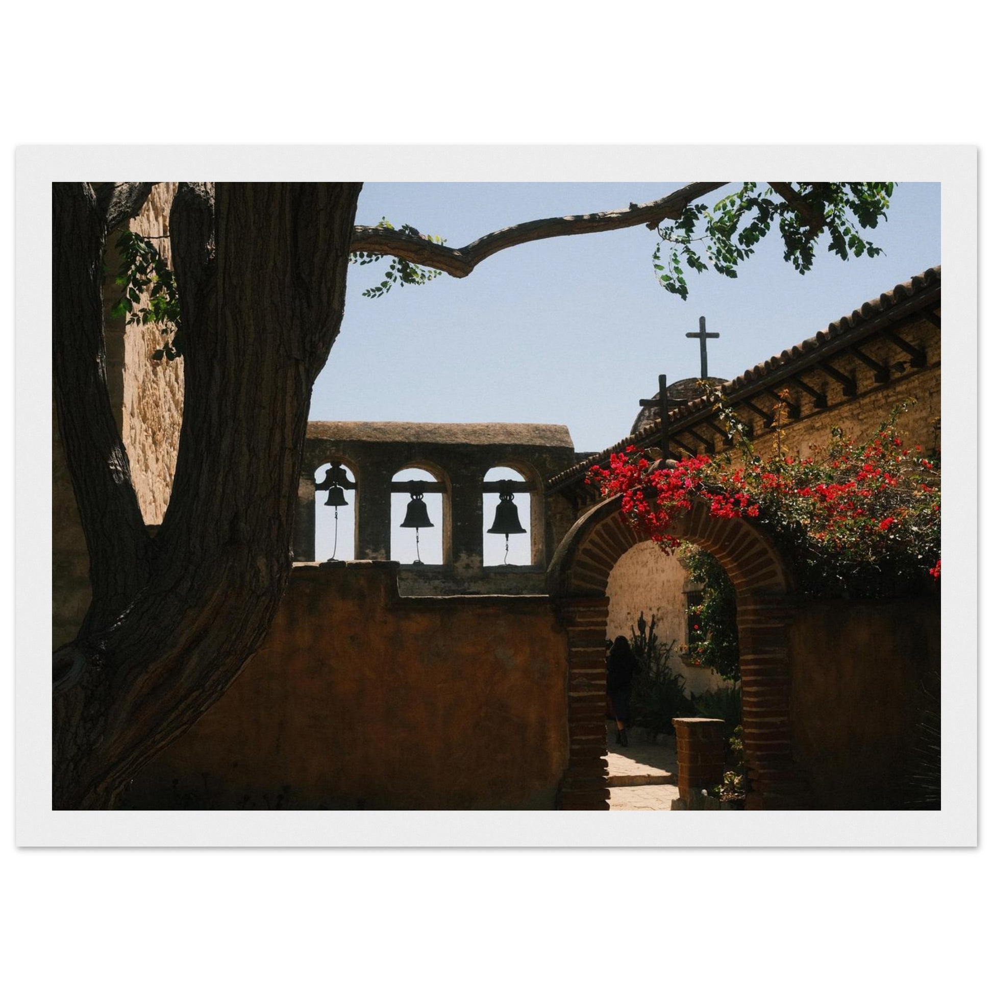 2895de5b-d466-4dcf-bf8e-5bfc9722cdd0