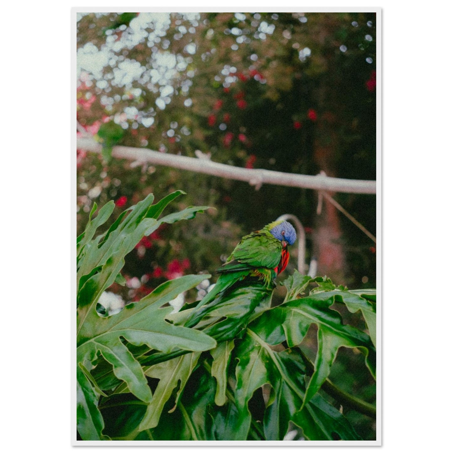 28aeb926-df5e-4c36-9a71-3cfc4738a510