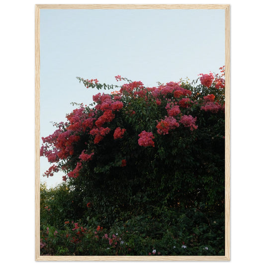 2a204cff-11df-4199-b2fd-964eca105c94